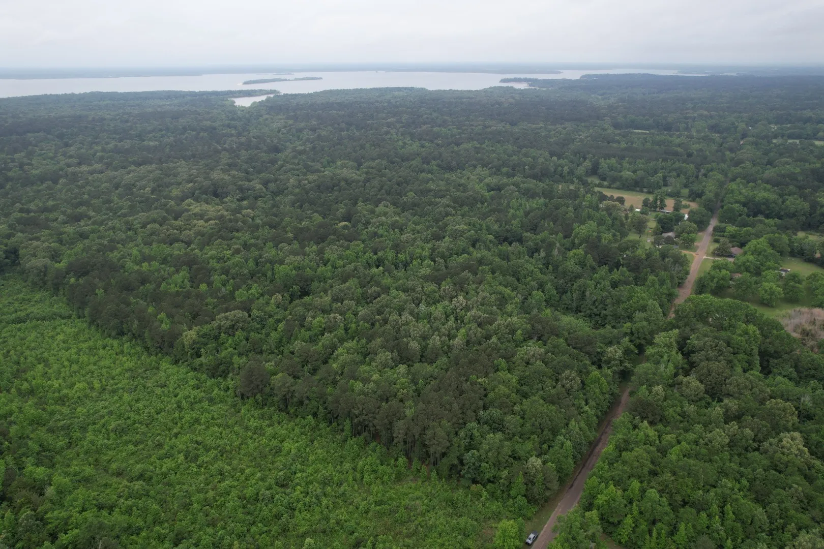 Unimproved Land For Sale in Cass County , TBD County Road 3659, Queen City, Texas 75572, 0, 0, Garage spaces, 0 Sqft, built in 0, Price $144,000, mls#21271664, Real Estate Agent in Queen City, Homes For Sale in Cass county, Homes For Sale in Queen City, Realtor in Queen City Texas, Real Estate Brokerage Independent Realty Texas, Luminita Cordes Realtor