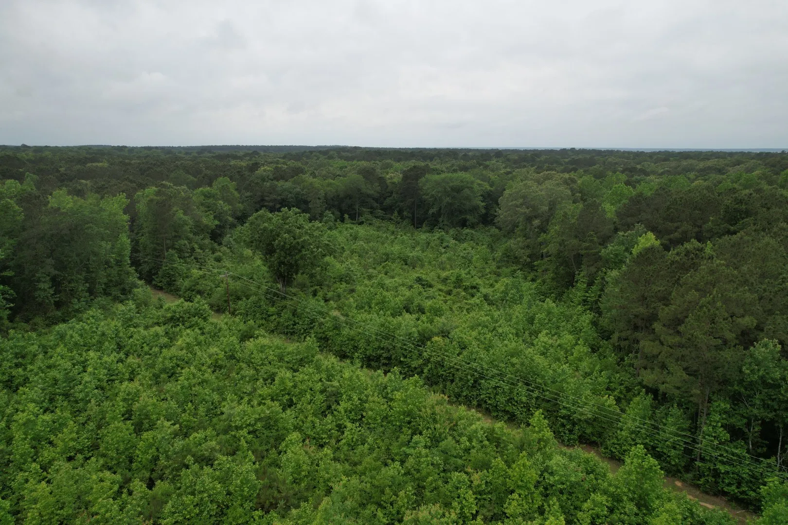 Unimproved Land For Sale in Cass County , TBD County Road 3659, Queen City, Texas 75572, 0, 0, Garage spaces, 0 Sqft, built in 0, Price $144,000, mls#21271664, Real Estate Agent in Queen City, Homes For Sale in Cass county, Homes For Sale in Queen City, Realtor in Queen City Texas, Real Estate Brokerage Independent Realty Texas, Luminita Cordes Realtor