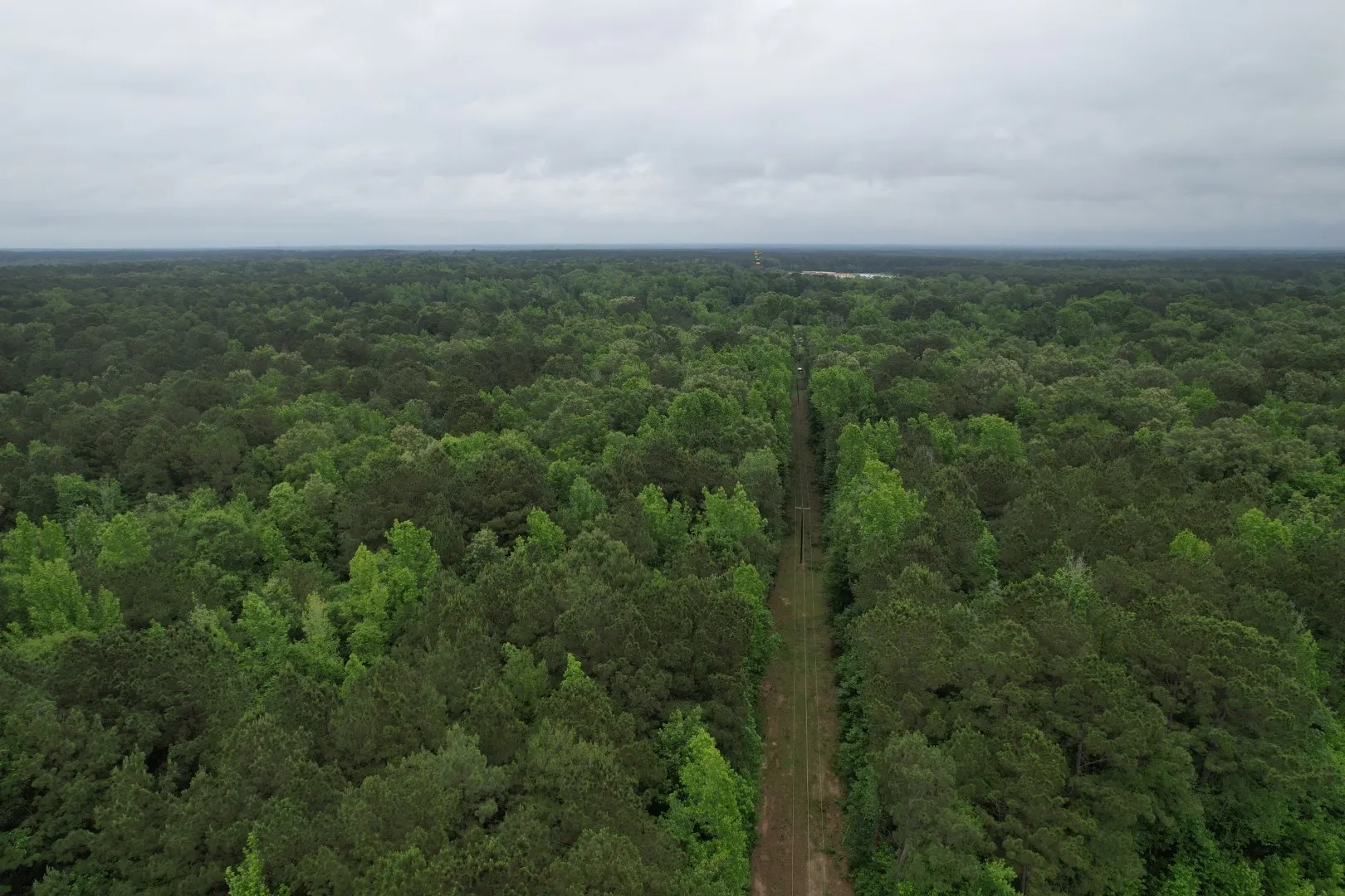 Unimproved Land For Sale in Cass County , TBD County Road 3659, Queen City, Texas 75572, 0, 0, Garage spaces, 0 Sqft, built in 0, Price $144,000, mls#21271664, Real Estate Agent in Queen City, Homes For Sale in Cass county, Homes For Sale in Queen City, Realtor in Queen City Texas, Real Estate Brokerage Independent Realty Texas, Luminita Cordes Realtor