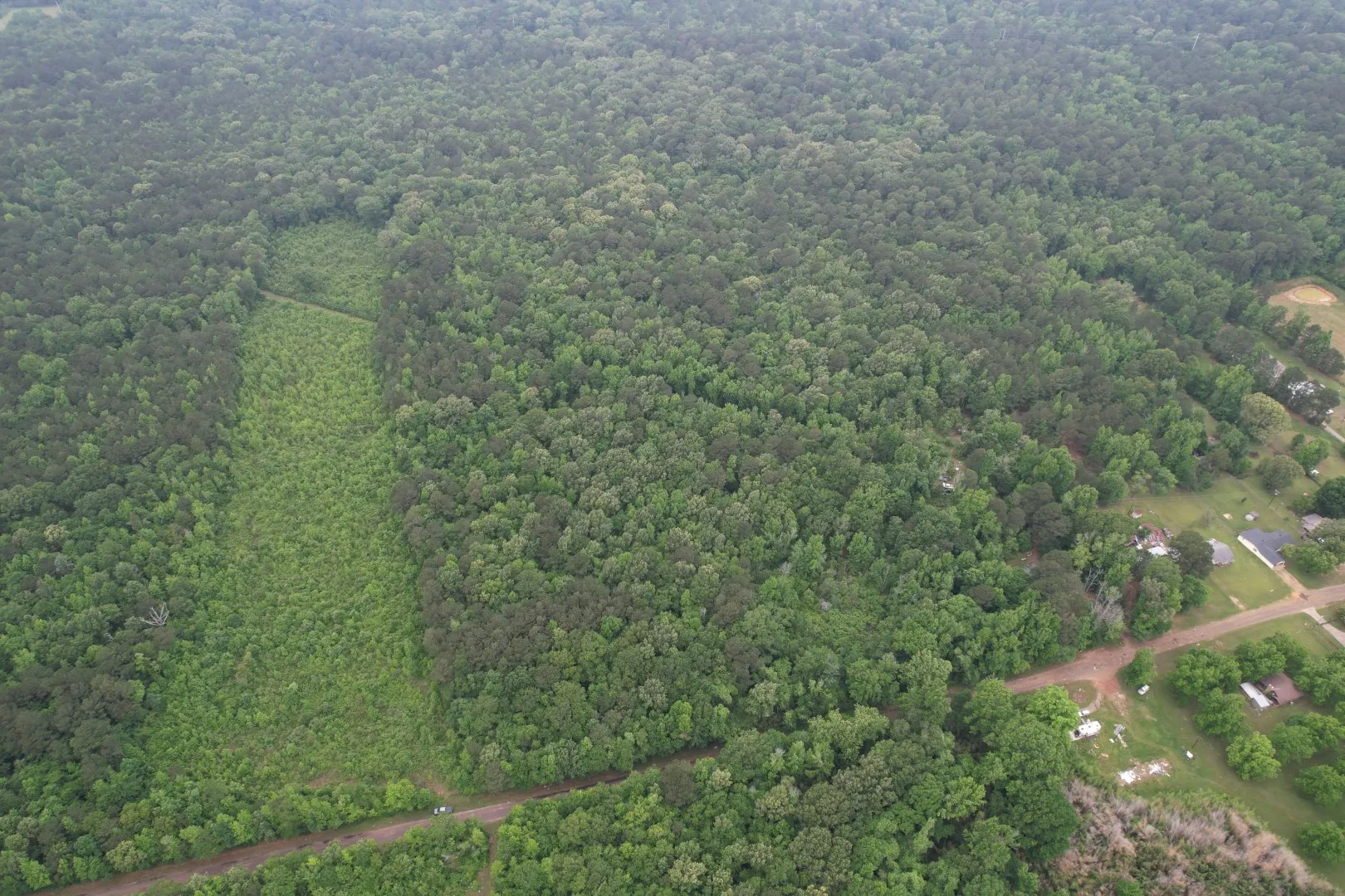Unimproved Land For Sale in Cass County , TBD County Road 3659, Queen City, Texas 75572, 0, 0, Garage spaces, 0 Sqft, built in 0, Price $144,000, mls#21271664, Real Estate Agent in Queen City, Homes For Sale in Cass county, Homes For Sale in Queen City, Realtor in Queen City Texas, Real Estate Brokerage Independent Realty Texas, Luminita Cordes Realtor