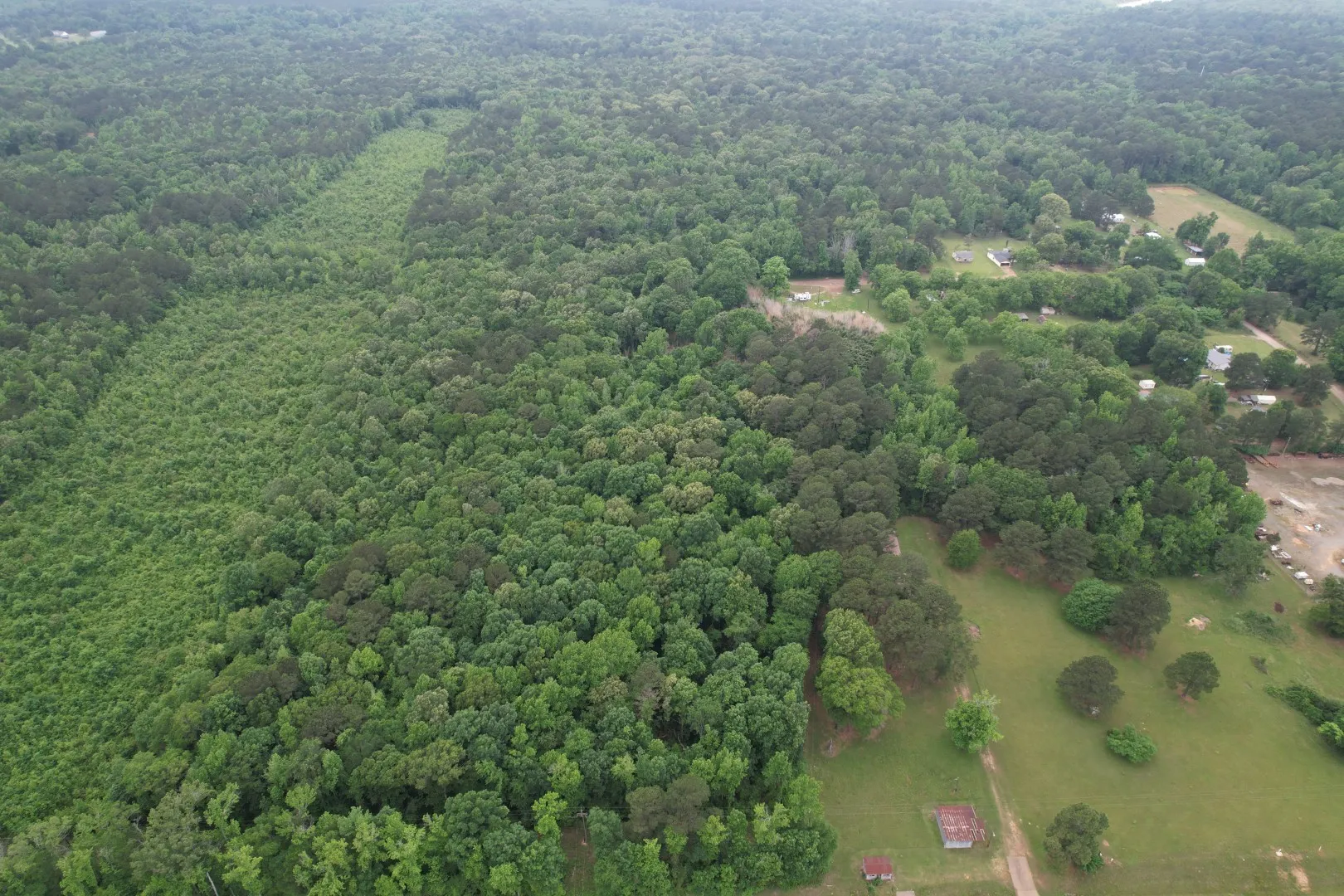 Unimproved Land For Sale in Cass County , TBD County Road 3659, Queen City, Texas 75572, 0, 0, Garage spaces, 0 Sqft, built in 0, Price $144,000, mls#21271664, Real Estate Agent in Queen City, Homes For Sale in Cass county, Homes For Sale in Queen City, Realtor in Queen City Texas, Real Estate Brokerage Independent Realty Texas, Luminita Cordes Realtor