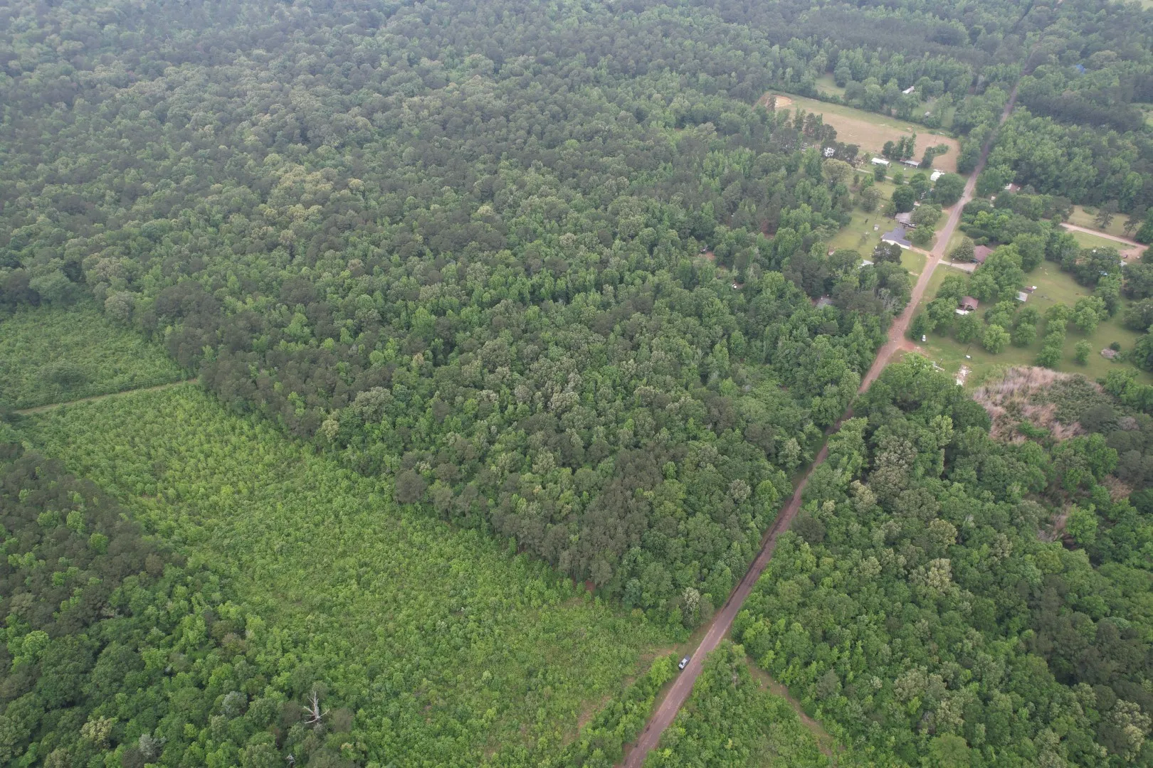 Unimproved Land For Sale in Cass County , TBD County Road 3659, Queen City, Texas 75572, 0, 0, Garage spaces, 0 Sqft, built in 0, Price $144,000, mls#21271664, Real Estate Agent in Queen City, Homes For Sale in Cass county, Homes For Sale in Queen City, Realtor in Queen City Texas, Real Estate Brokerage Independent Realty Texas, Luminita Cordes Realtor