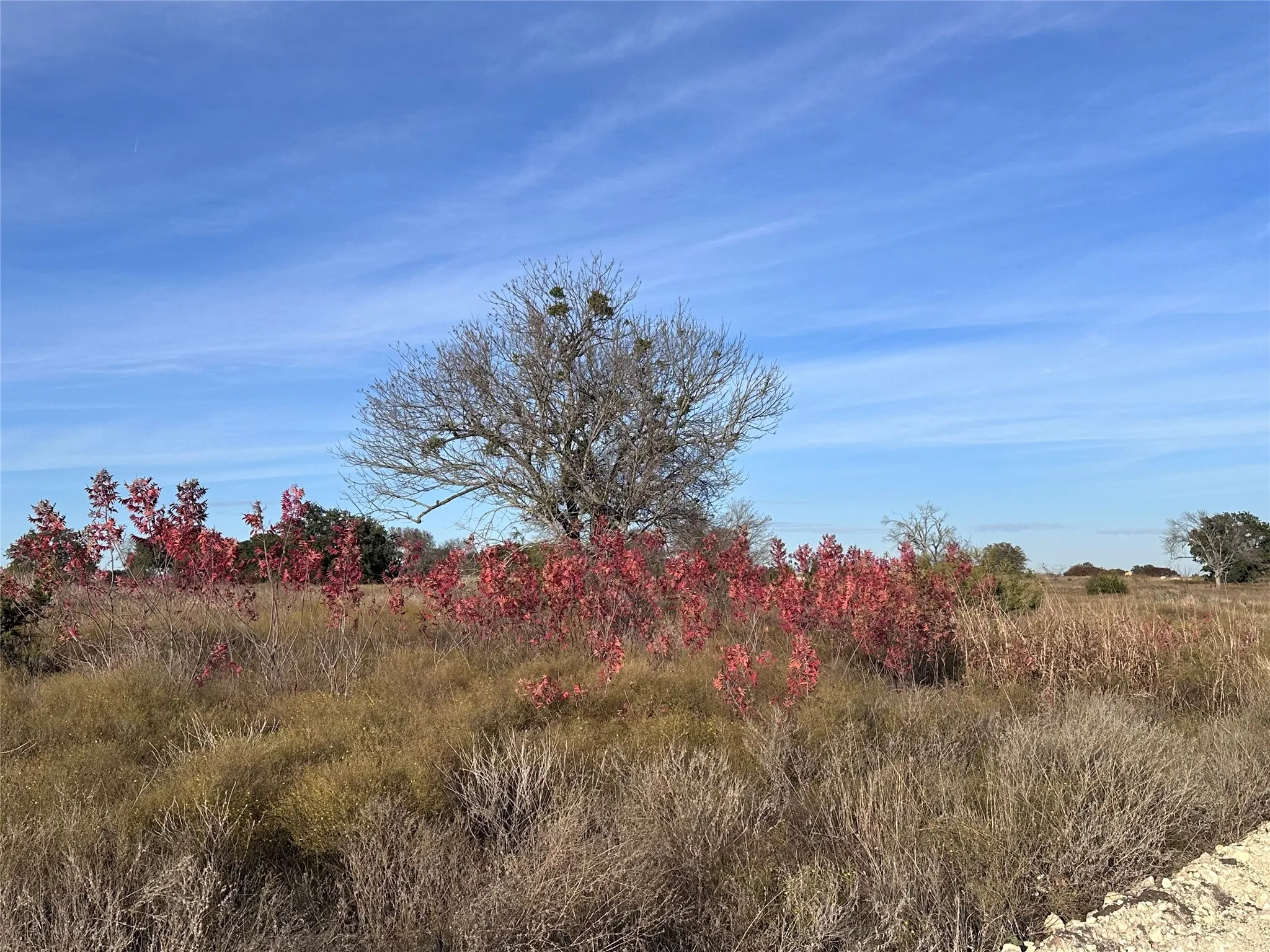 Unimproved Land For Sale in Coryell County , 245 Grand Canyon Drive, Oglesby, Texas 76561, 0, 0, Garage spaces, 0 Sqft, built in 0, Price $80,000, mls#21270125, Real Estate Agent in Oglesby, Homes For Sale in Coryell county, Homes For Sale in Oglesby, Realtor in Oglesby Texas, Real Estate Brokerage Independent Realty Texas, Luminita Cordes Realtor