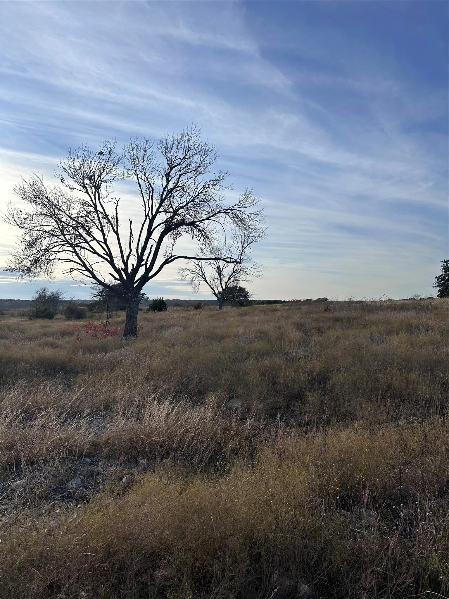 Unimproved Land For Sale in Coryell County , 245 Grand Canyon Drive, Oglesby, Texas 76561, 0, 0, Garage spaces, 0 Sqft, built in 0, Price $80,000, mls#21270125, Real Estate Agent in Oglesby, Homes For Sale in Coryell county, Homes For Sale in Oglesby, Realtor in Oglesby Texas, Real Estate Brokerage Independent Realty Texas, Luminita Cordes Realtor