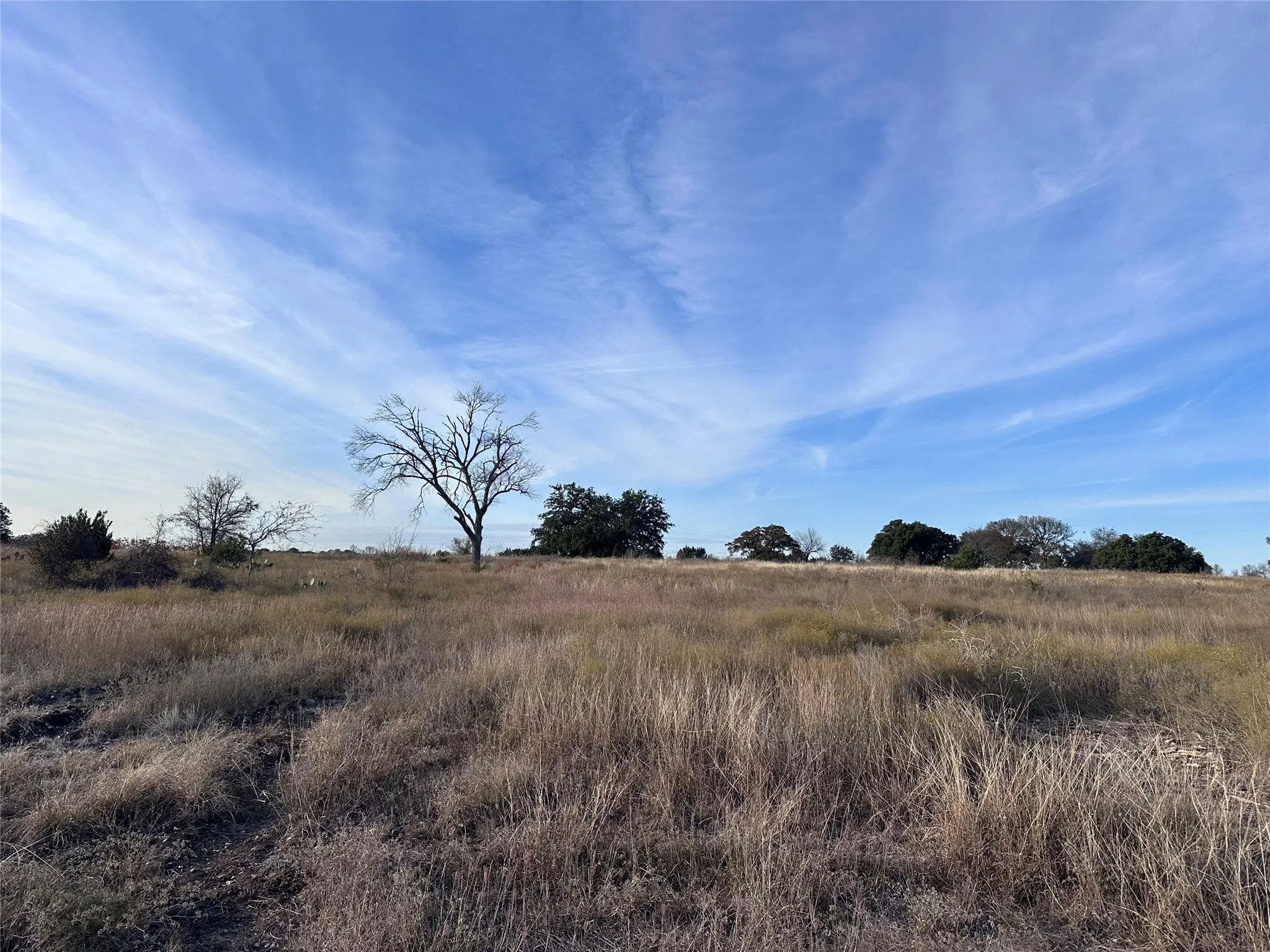 Unimproved Land For Sale in Coryell County , 245 Grand Canyon Drive, Oglesby, Texas 76561, 0, 0, Garage spaces, 0 Sqft, built in 0, Price $80,000, mls#21270125, Real Estate Agent in Oglesby, Homes For Sale in Coryell county, Homes For Sale in Oglesby, Realtor in Oglesby Texas, Real Estate Brokerage Independent Realty Texas, Luminita Cordes Realtor