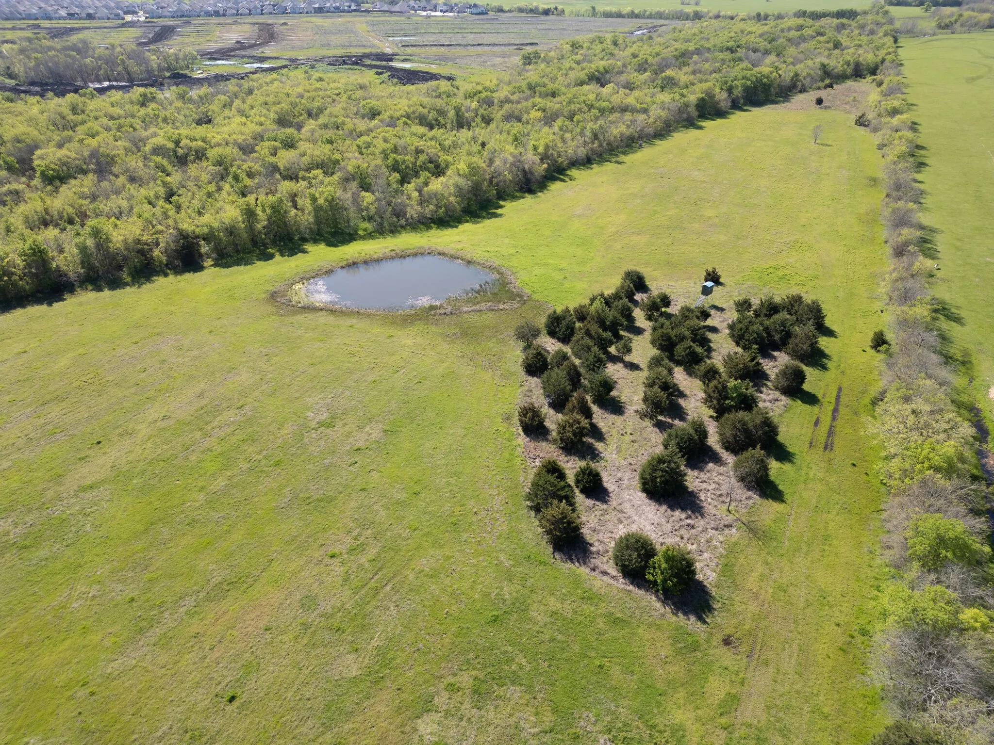 Warehouse For Sale in Collin County , 0000 Abbott Ranch Road, Royse City, Texas 75189, 0, 0, Garage spaces, 0 Sqft, built in 0, Price $1,000,000, mls#21270318, Real Estate Agent in Royse City, Homes For Sale in Collin county, Homes For Sale in Royse City, Realtor in Royse City Texas, Real Estate Brokerage Independent Realty Texas, Luminita Cordes Realtor