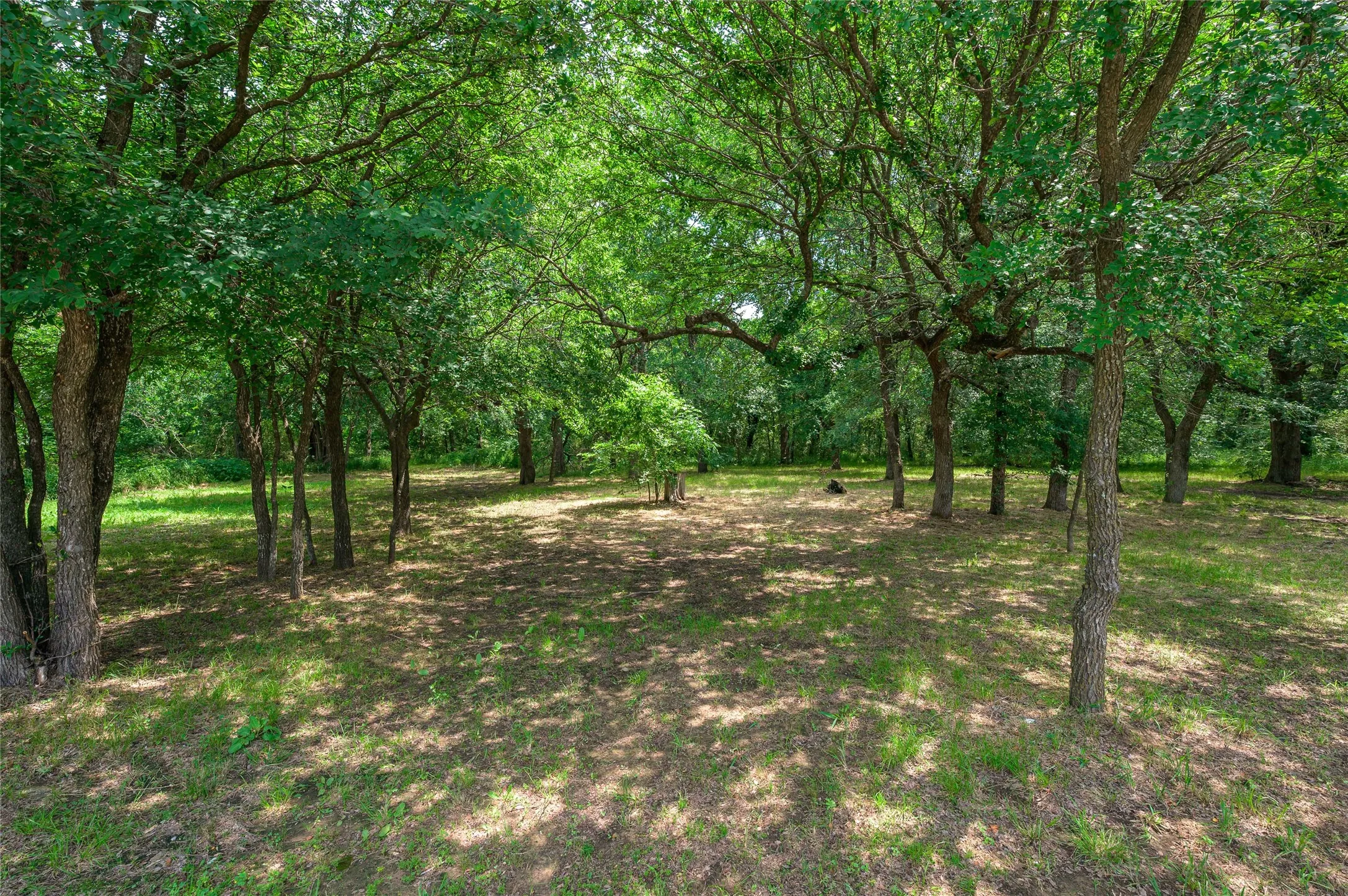 Mobile Home For Sale in Grayson County , 1742 Reynolds Lane, Sherman, Texas 75092, 3 Bedroom, 2 Bathroom, Garage spaces, 1,475 Sqft, built in 2020, mls#21271196, Real Estate Agent in Sherman, Homes For Sale in Grayson county, Homes For Sale in Sherman, Realtor in Sherman Texas, Real Estate Brokerage Independent Realty Texas, Luminita Cordes Realtor