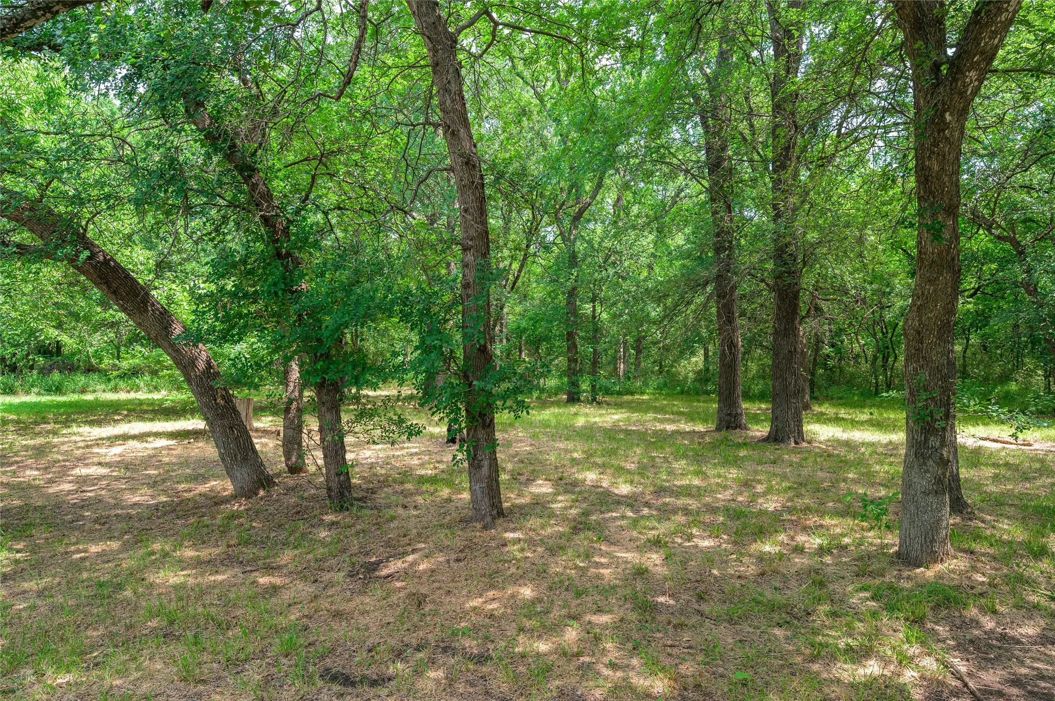 Mobile Home For Sale in Grayson County , 1742 Reynolds Lane, Sherman, Texas 75092, 3 Bedroom, 2 Bathroom, Garage spaces, 1,475 Sqft, built in 2020, mls#21271196, Real Estate Agent in Sherman, Homes For Sale in Grayson county, Homes For Sale in Sherman, Realtor in Sherman Texas, Real Estate Brokerage Independent Realty Texas, Luminita Cordes Realtor