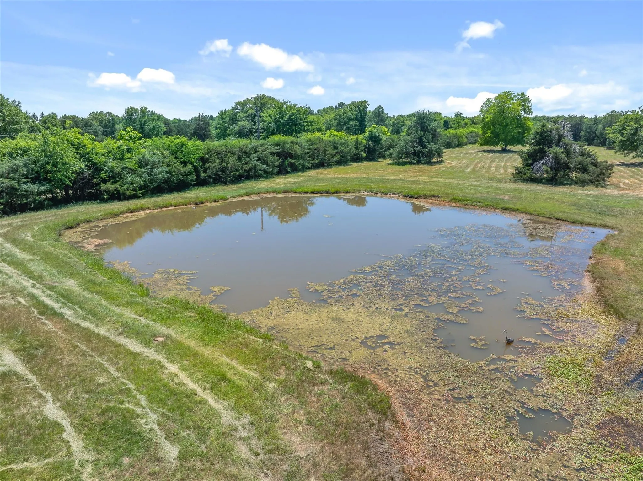 Single Family Residence For Sale in Kaufman County , 6663 CLEARWATER RANCH Road, Wills Point, Texas 75169, 2 Bedrooms, 2 Bathrooms, Garage spaces, 1,966 Sqft, built in 1999, Price $999,900, mls#21271928, Real Estate Agent in Wills Point, Homes For Sale in Kaufman county, Homes For Sale in Wills Point, Realtor in Wills Point Texas, Real Estate Brokerage Independent Realty Texas, Luminita Cordes Realtor