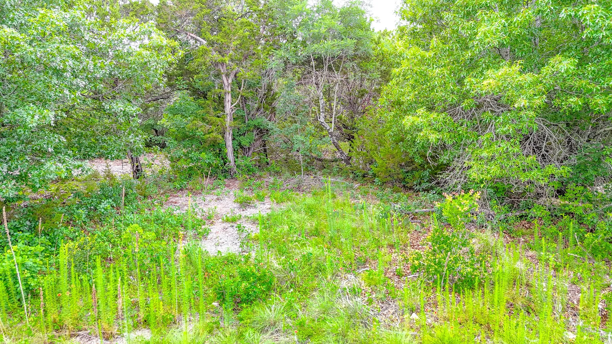 Unimproved Land For Sale in Johnson County , 8116 Forres Court, Cleburne, Texas 76033, 0, 0, Garage spaces, 0 Sqft, built in 0, Price $45,000, mls#21268294, Real Estate Agent in Cleburne, Homes For Sale in Johnson county, Homes For Sale in Cleburne, Realtor in Cleburne Texas, Real Estate Brokerage Independent Realty Texas, Luminita Cordes Realtor