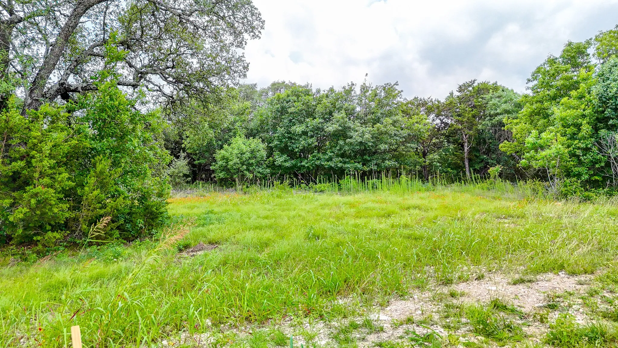 Unimproved Land For Sale in Johnson County , 8116 Forres Court, Cleburne, Texas 76033, 0, 0, Garage spaces, 0 Sqft, built in 0, Price $45,000, mls#21268294, Real Estate Agent in Cleburne, Homes For Sale in Johnson county, Homes For Sale in Cleburne, Realtor in Cleburne Texas, Real Estate Brokerage Independent Realty Texas, Luminita Cordes Realtor