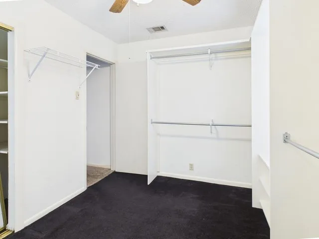 Spacious closet featuring visible vents, ceiling fan, and carpet flooring