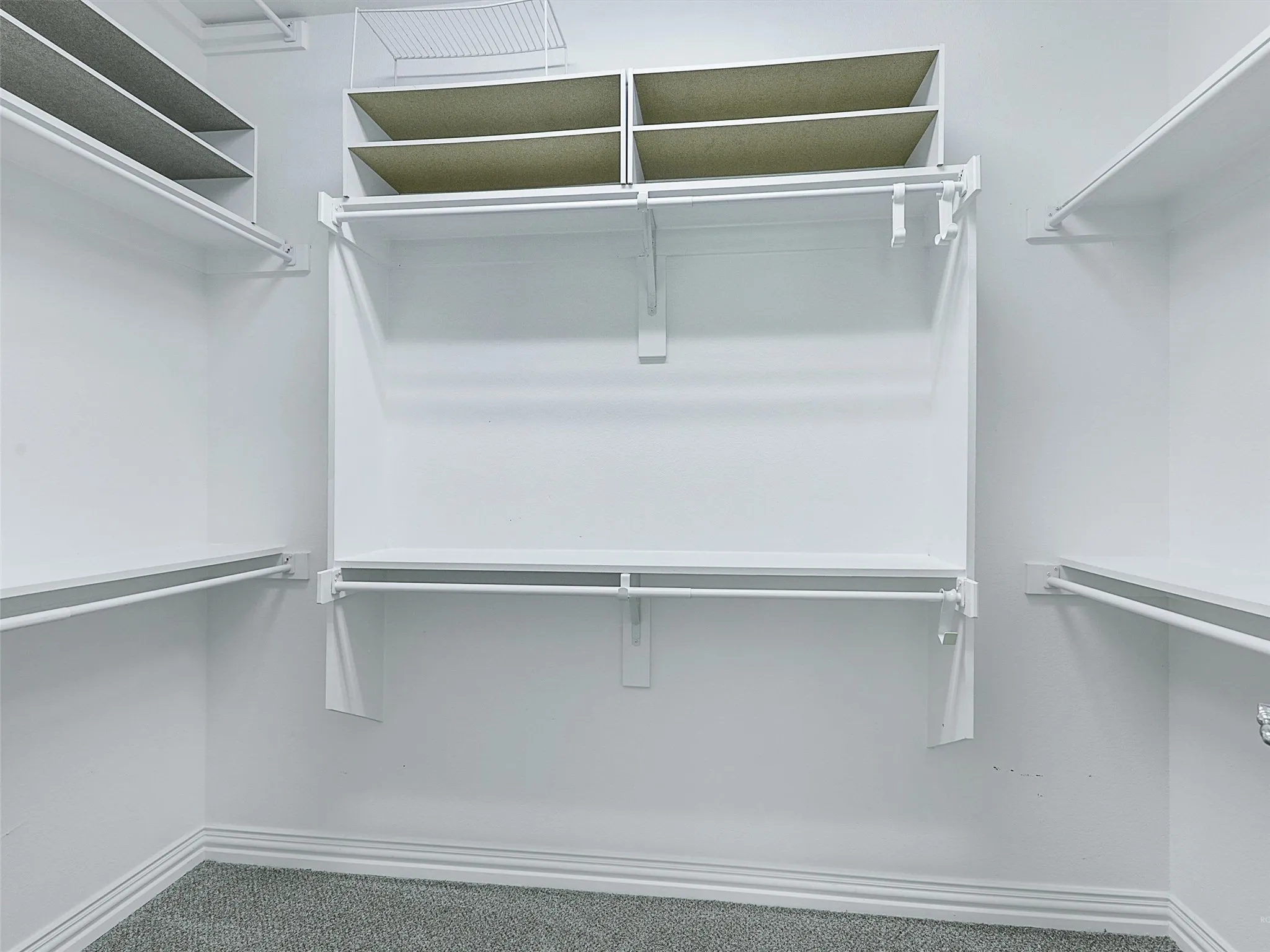 Spacious closet featuring carpet flooring