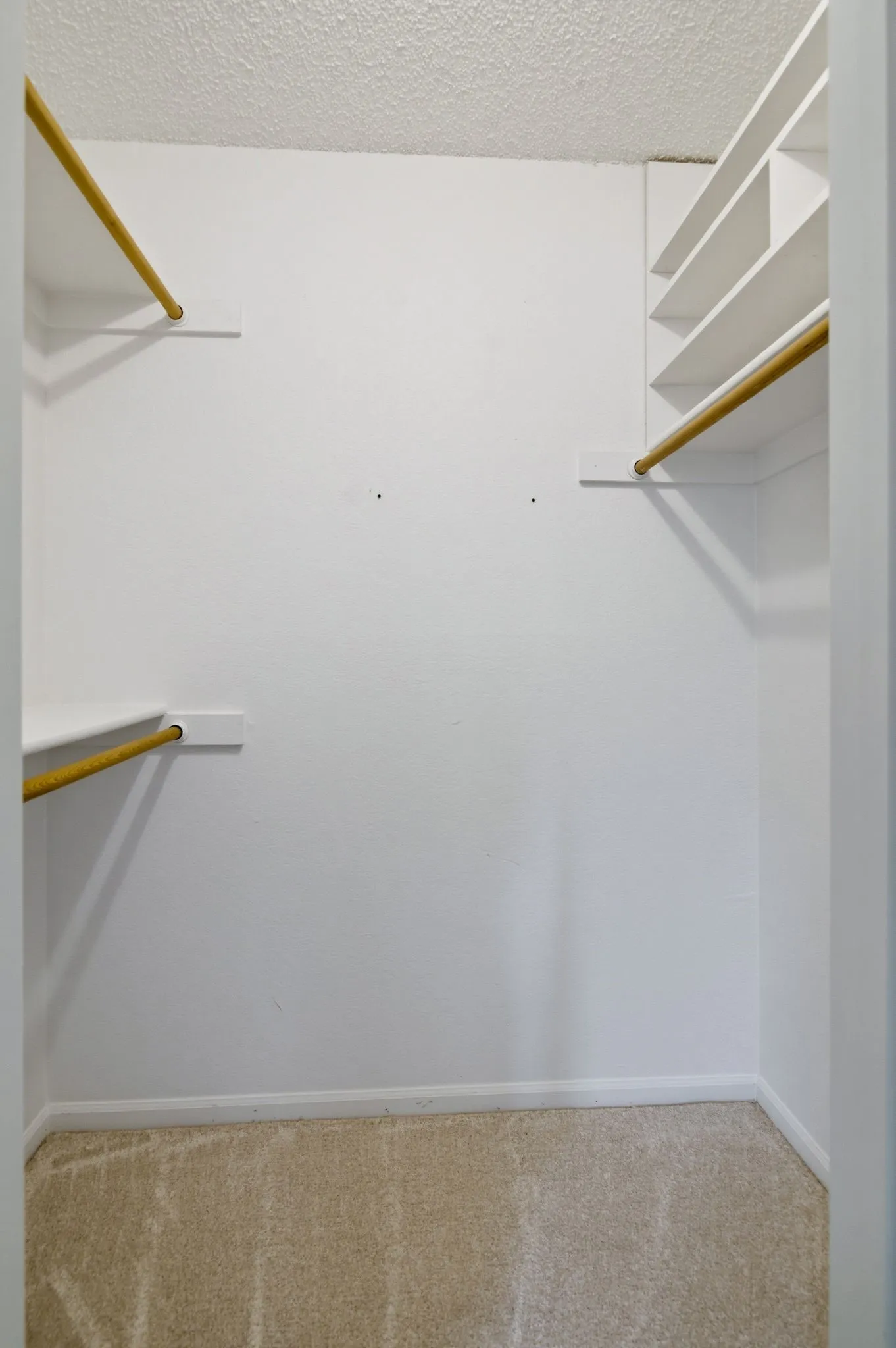 Primary Bedroom with Spacious Walk In Closet