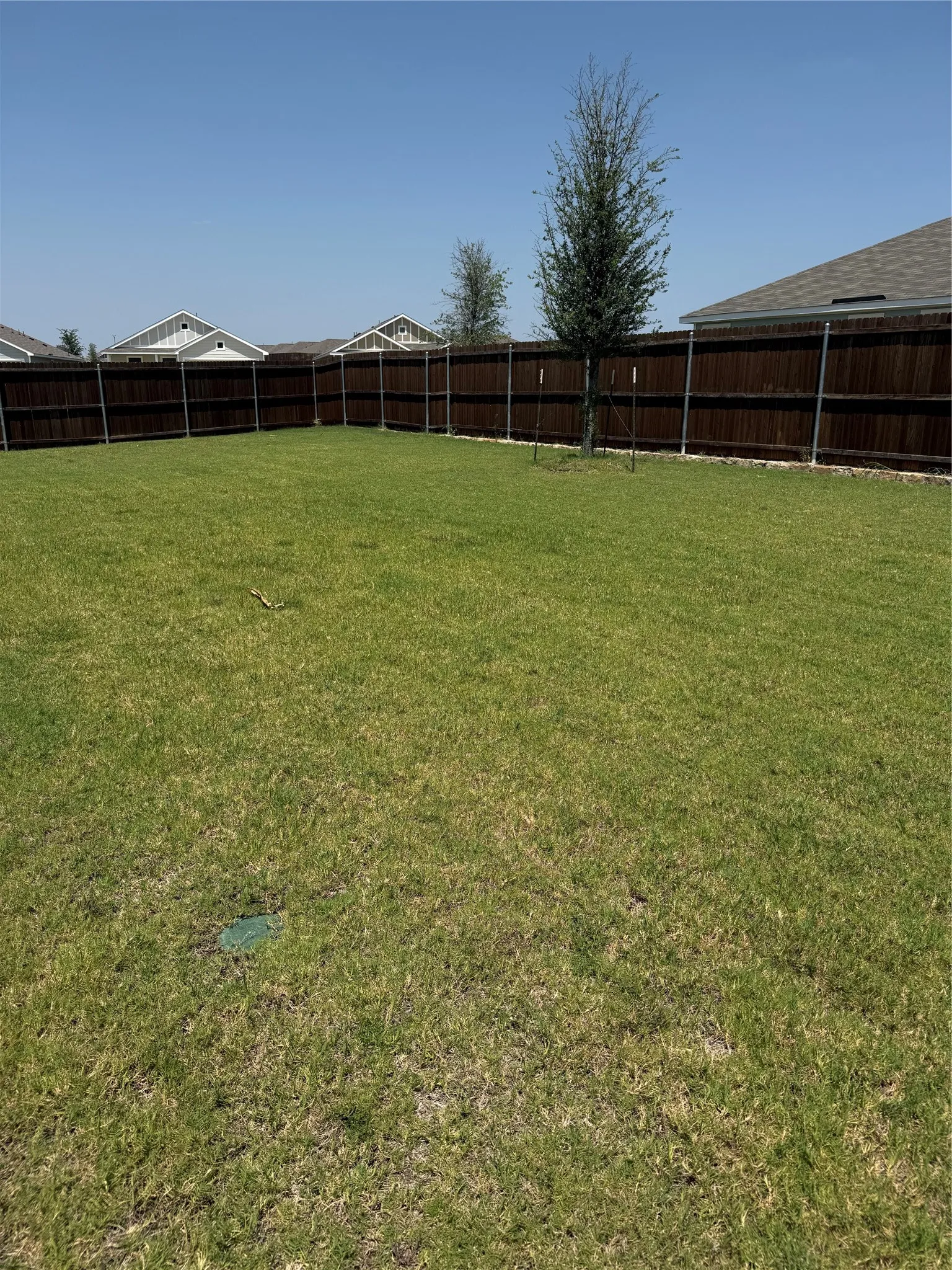 Single Family Residence For Rent in Collin County , 7728 Skier Drive, Mc Kinney, Texas 75071, 3 Bedroom, 2 Bathroom, 2 Garage spaces, 1,505 Sqft, built in 2024, mls#21267954, Real Estate Agent in Mc Kinney, Homes For Rent in Collin county, Homes For Rent in Mc Kinney, Realtor in Mc Kinney Texas, Real Estate Brokerage Independent Realty Texas, Luminita Cordes Realtor