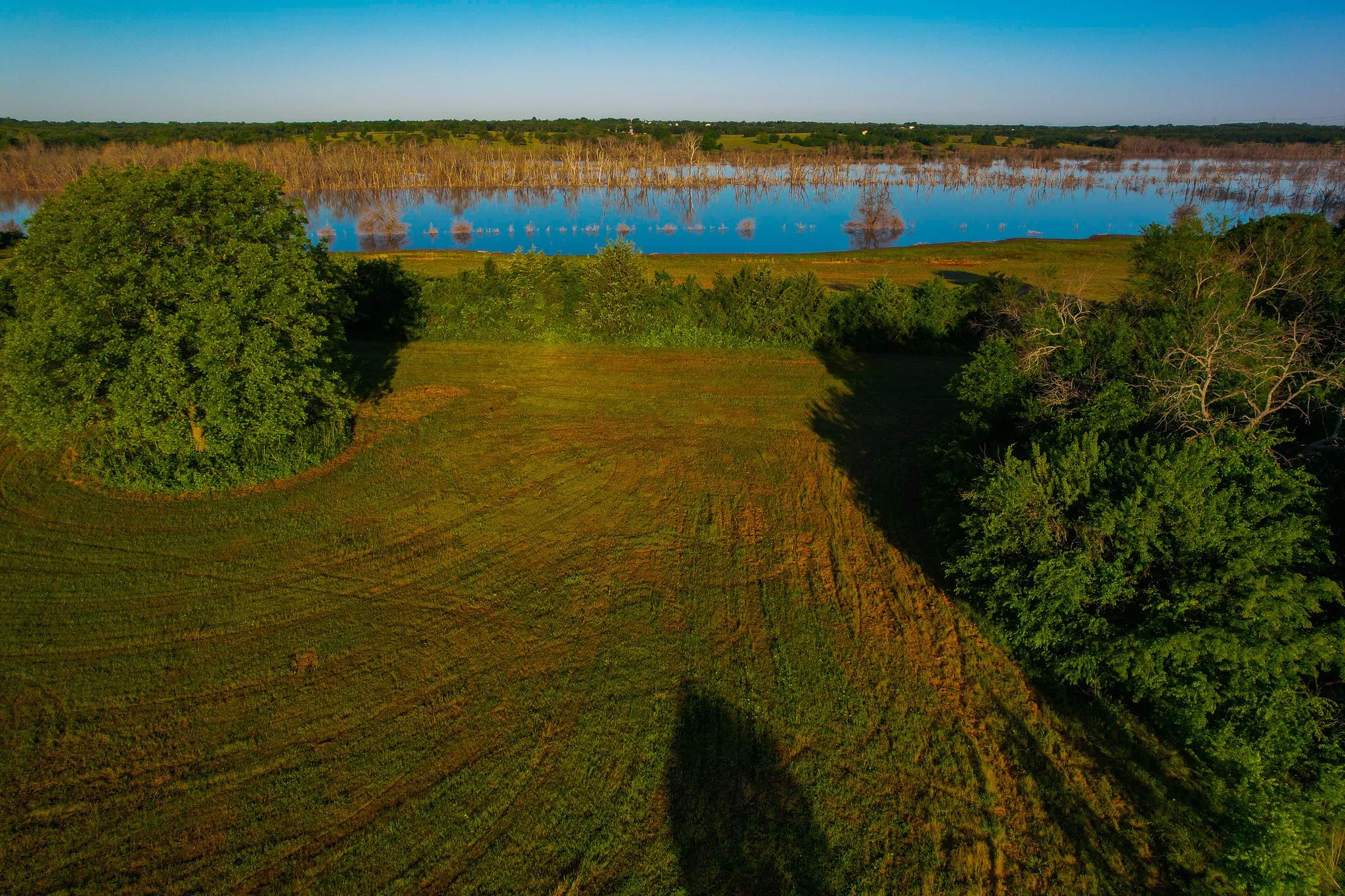 Ranch For Sale in Fannin County , 2000 County Road 2950, Dodd City, Texas 75438, 0, 0, Garage spaces, 0 Sqft, built in 0, mls#21272086, Real Estate Agent in Dodd City, Homes For Sale in Fannin county, Homes For Sale in Dodd City, Realtor in Dodd City Texas, Real Estate Brokerage Independent Realty Texas, Luminita Cordes Realtor