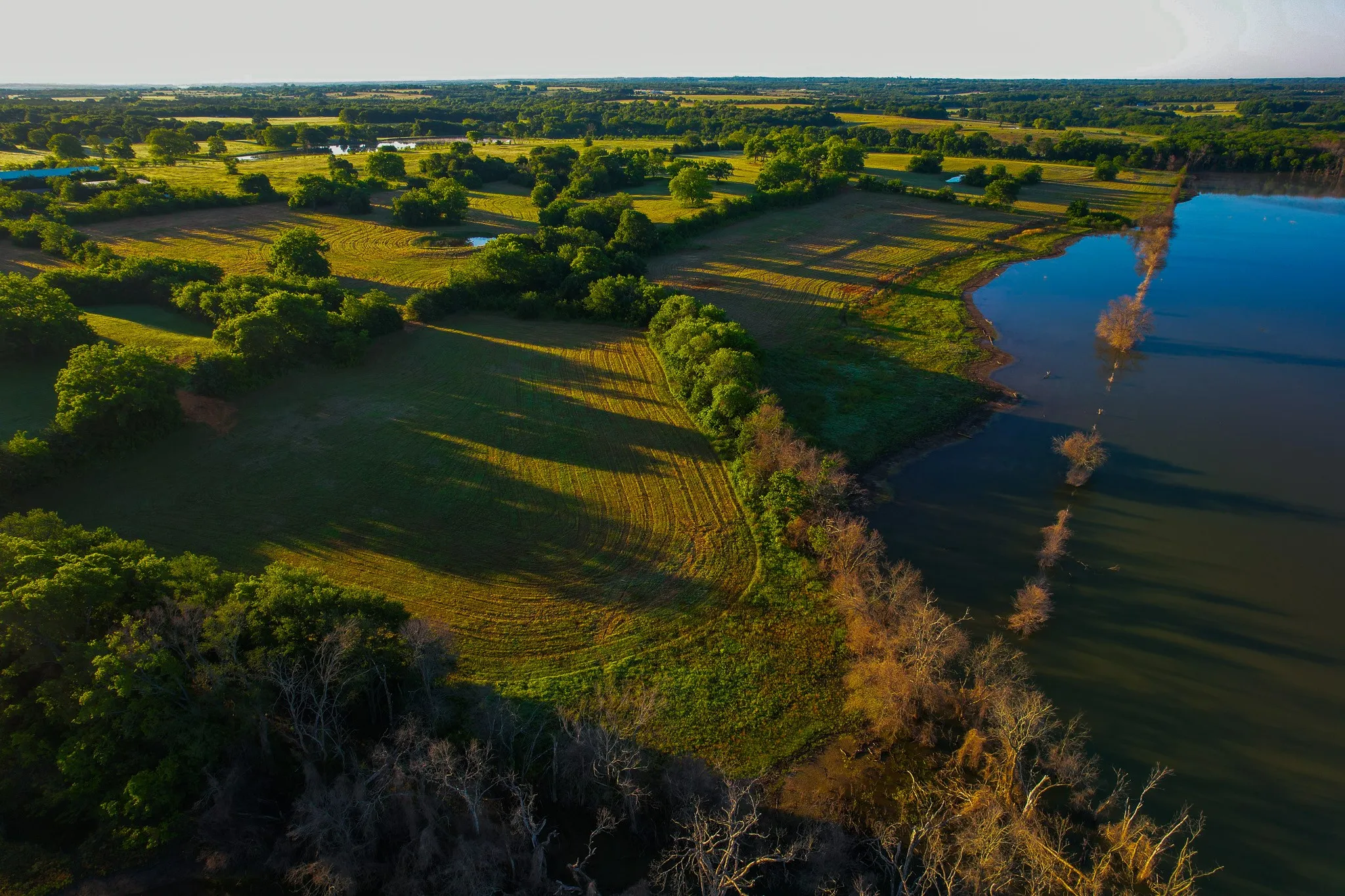 Ranch For Sale in Fannin County , 2000 County Road 2950, Dodd City, Texas 75438, 0, 0, Garage spaces, 0 Sqft, built in 0, mls#21272086, Real Estate Agent in Dodd City, Homes For Sale in Fannin county, Homes For Sale in Dodd City, Realtor in Dodd City Texas, Real Estate Brokerage Independent Realty Texas, Luminita Cordes Realtor