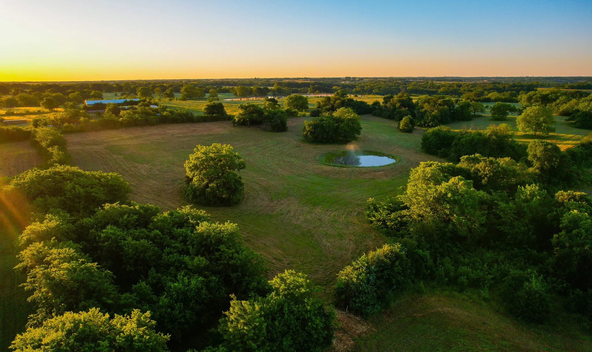 Ranch For Sale in Fannin County , 2000 County Road 2950, Dodd City, Texas 75438, 0, 0, Garage spaces, 0 Sqft, built in 0, mls#21272086, Real Estate Agent in Dodd City, Homes For Sale in Fannin county, Homes For Sale in Dodd City, Realtor in Dodd City Texas, Real Estate Brokerage Independent Realty Texas, Luminita Cordes Realtor