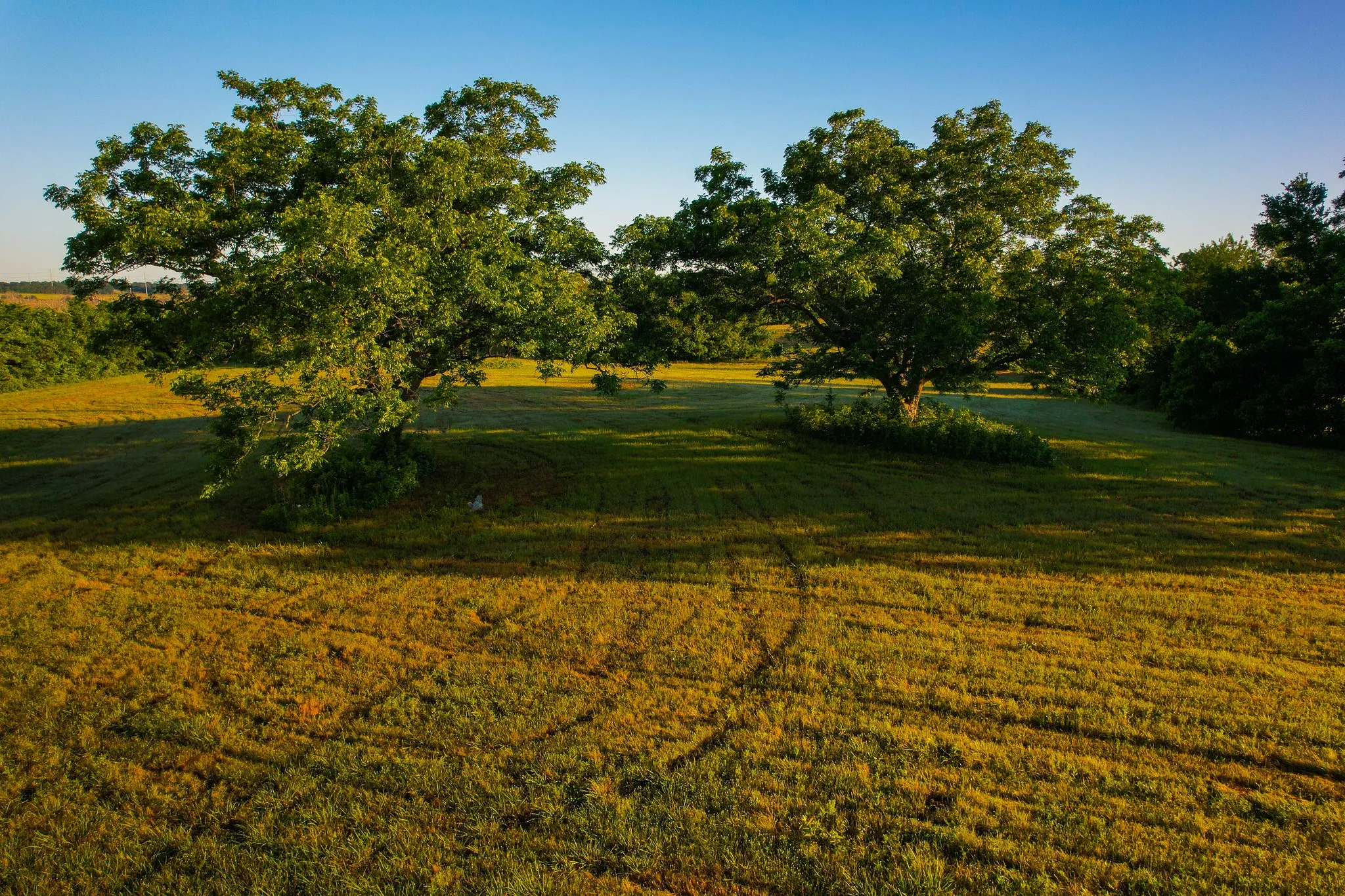 Ranch For Sale in Fannin County , 2000 County Road 2950, Dodd City, Texas 75438, 0, 0, Garage spaces, 0 Sqft, built in 0, mls#21272086, Real Estate Agent in Dodd City, Homes For Sale in Fannin county, Homes For Sale in Dodd City, Realtor in Dodd City Texas, Real Estate Brokerage Independent Realty Texas, Luminita Cordes Realtor