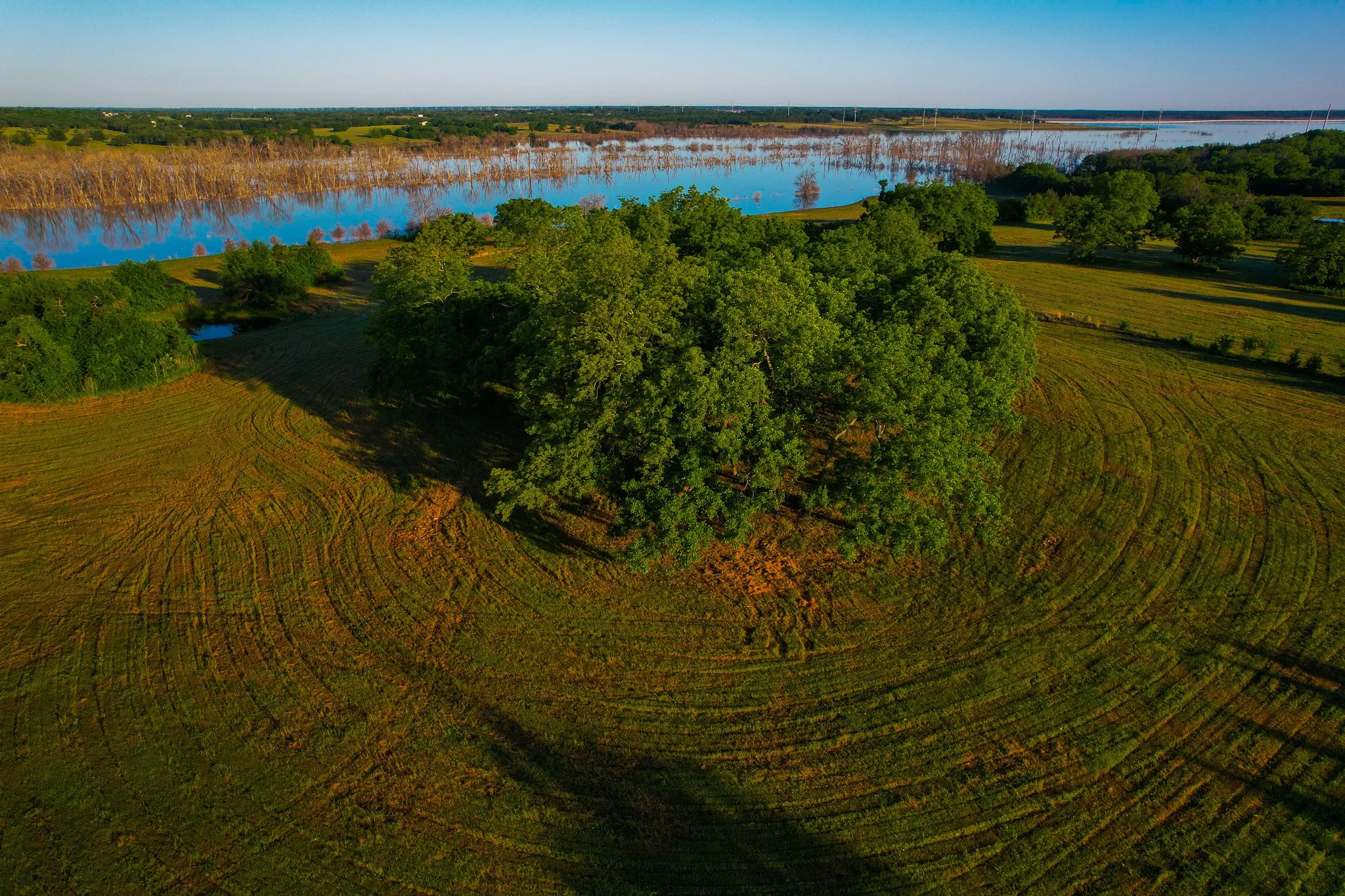 Ranch For Sale in Fannin County , 2000 County Road 2950, Dodd City, Texas 75438, 0, 0, Garage spaces, 0 Sqft, built in 0, mls#21272086, Real Estate Agent in Dodd City, Homes For Sale in Fannin county, Homes For Sale in Dodd City, Realtor in Dodd City Texas, Real Estate Brokerage Independent Realty Texas, Luminita Cordes Realtor