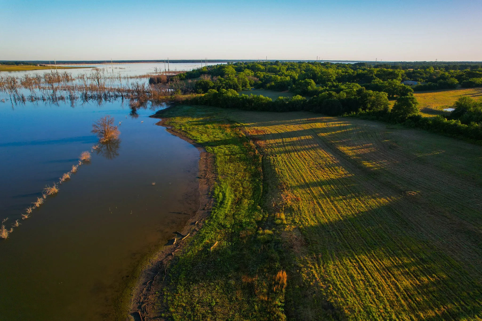 Ranch For Sale in Fannin County , 2000 County Road 2950, Dodd City, Texas 75438, 0, 0, Garage spaces, 0 Sqft, built in 0, mls#21272086, Real Estate Agent in Dodd City, Homes For Sale in Fannin county, Homes For Sale in Dodd City, Realtor in Dodd City Texas, Real Estate Brokerage Independent Realty Texas, Luminita Cordes Realtor