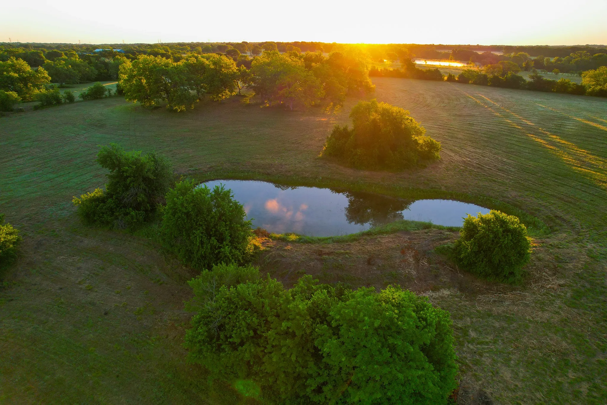 Ranch For Sale in Fannin County , 2000 County Road 2950, Dodd City, Texas 75438, 0, 0, Garage spaces, 0 Sqft, built in 0, mls#21272086, Real Estate Agent in Dodd City, Homes For Sale in Fannin county, Homes For Sale in Dodd City, Realtor in Dodd City Texas, Real Estate Brokerage Independent Realty Texas, Luminita Cordes Realtor