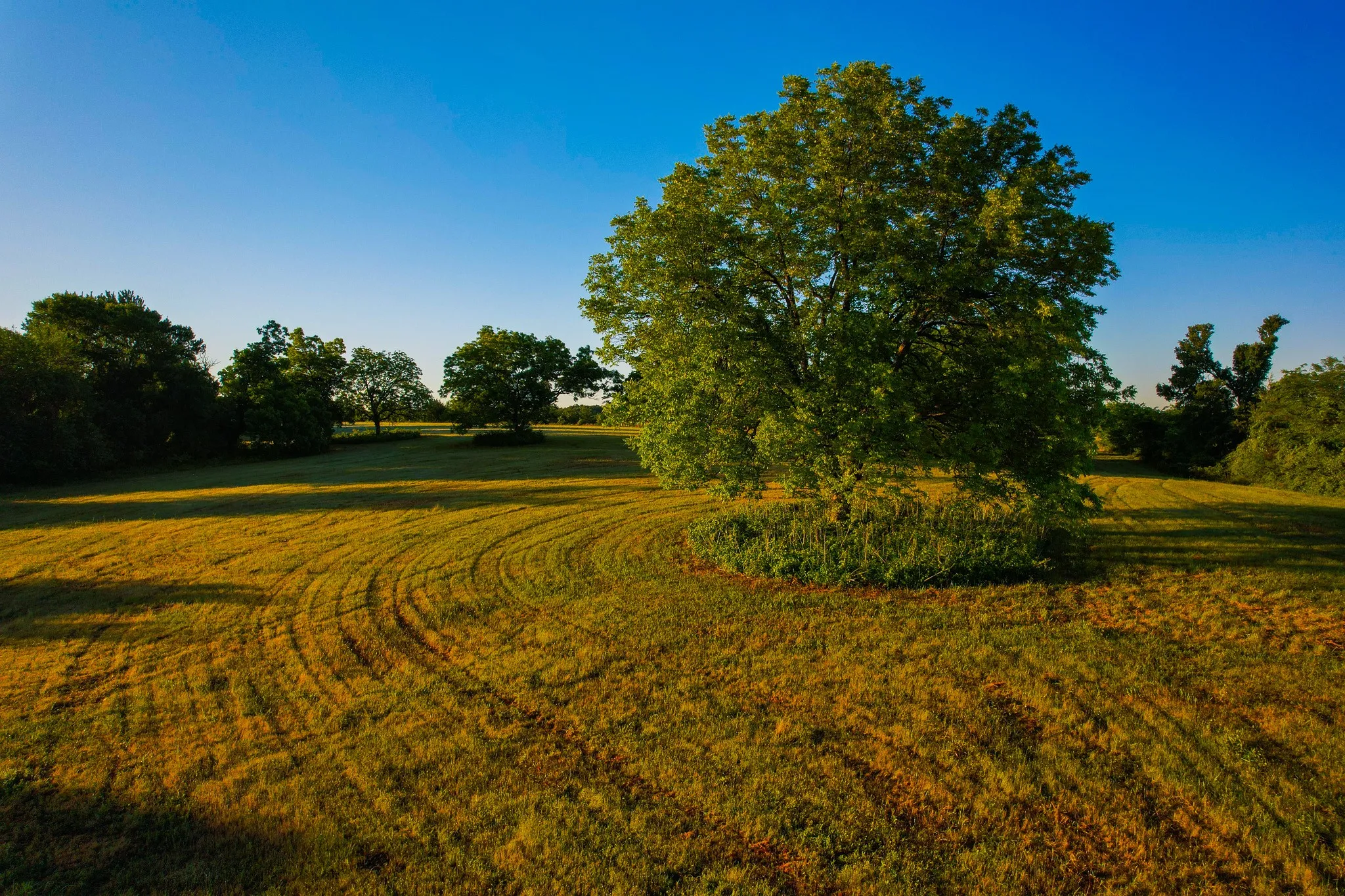 Ranch For Sale in Fannin County , 2000 County Road 2950, Dodd City, Texas 75438, 0, 0, Garage spaces, 0 Sqft, built in 0, mls#21272086, Real Estate Agent in Dodd City, Homes For Sale in Fannin county, Homes For Sale in Dodd City, Realtor in Dodd City Texas, Real Estate Brokerage Independent Realty Texas, Luminita Cordes Realtor