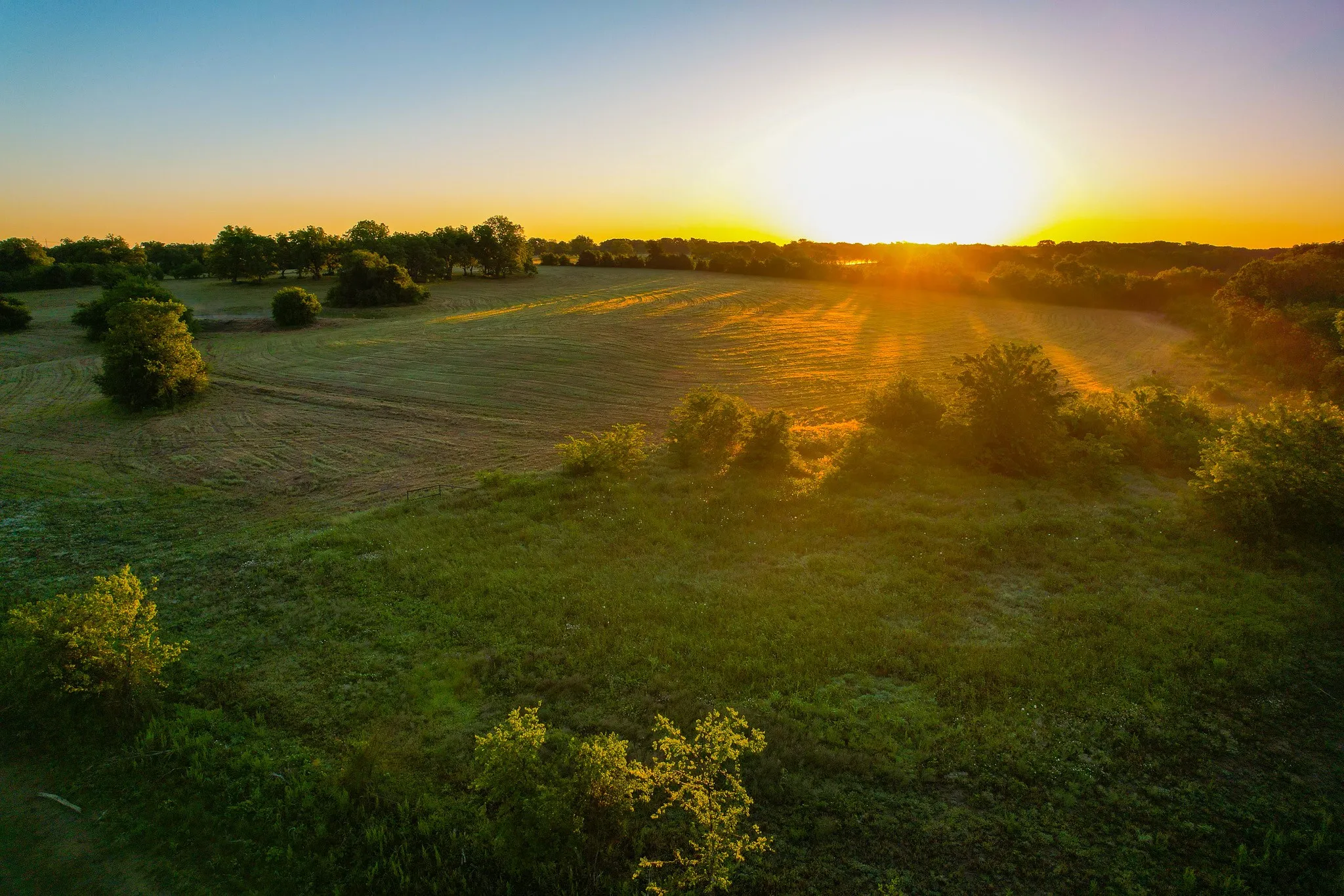 Ranch For Sale in Fannin County , 2000 County Road 2950, Dodd City, Texas 75438, 0, 0, Garage spaces, 0 Sqft, built in 0, mls#21272086, Real Estate Agent in Dodd City, Homes For Sale in Fannin county, Homes For Sale in Dodd City, Realtor in Dodd City Texas, Real Estate Brokerage Independent Realty Texas, Luminita Cordes Realtor