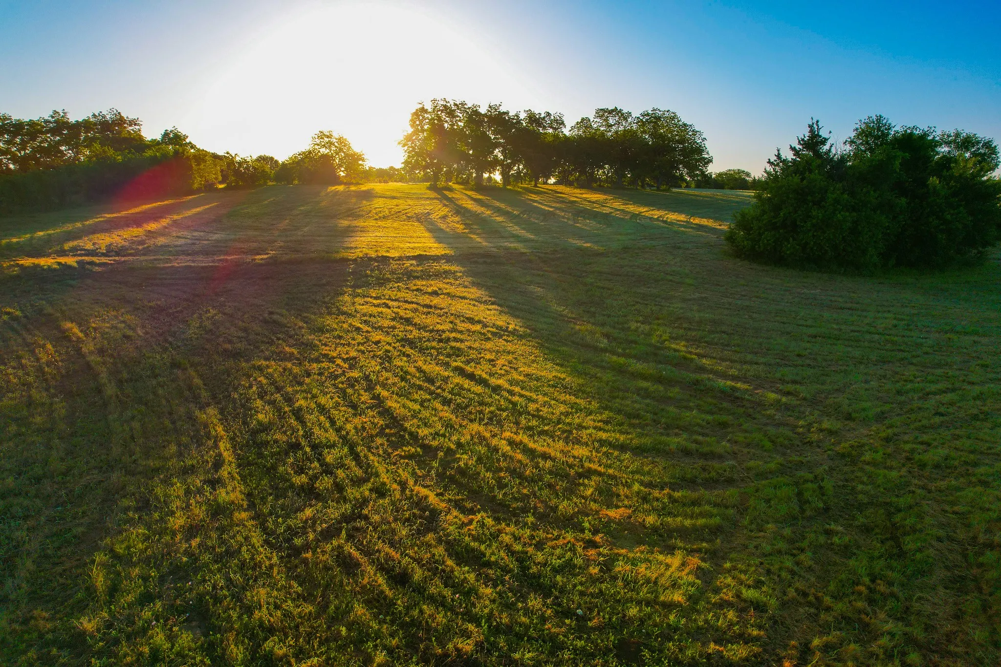 Ranch For Sale in Fannin County , 2000 County Road 2950, Dodd City, Texas 75438, 0, 0, Garage spaces, 0 Sqft, built in 0, mls#21272086, Real Estate Agent in Dodd City, Homes For Sale in Fannin county, Homes For Sale in Dodd City, Realtor in Dodd City Texas, Real Estate Brokerage Independent Realty Texas, Luminita Cordes Realtor