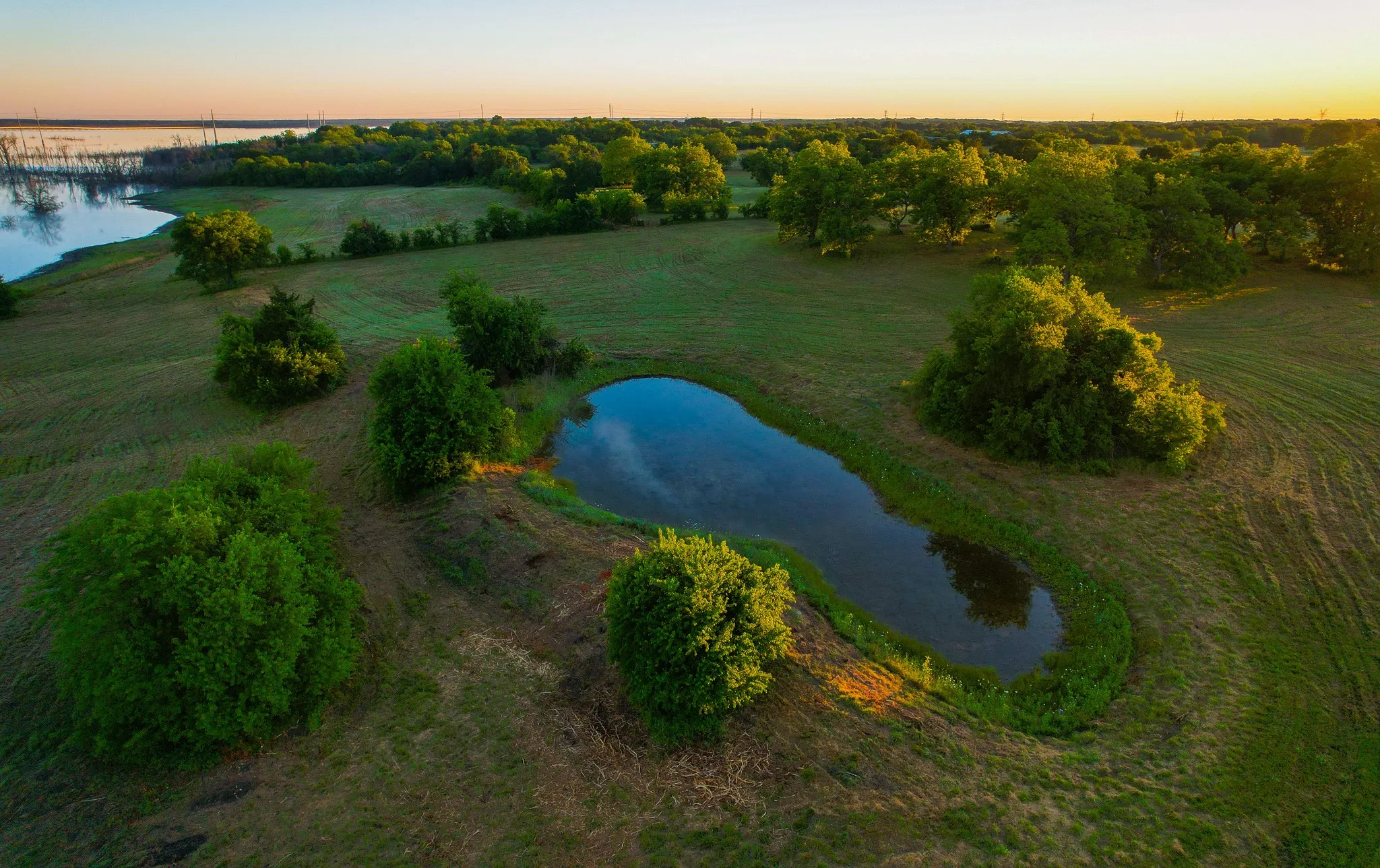 Ranch For Sale in Fannin County , 2000 County Road 2950, Dodd City, Texas 75438, 0, 0, Garage spaces, 0 Sqft, built in 0, mls#21272086, Real Estate Agent in Dodd City, Homes For Sale in Fannin county, Homes For Sale in Dodd City, Realtor in Dodd City Texas, Real Estate Brokerage Independent Realty Texas, Luminita Cordes Realtor