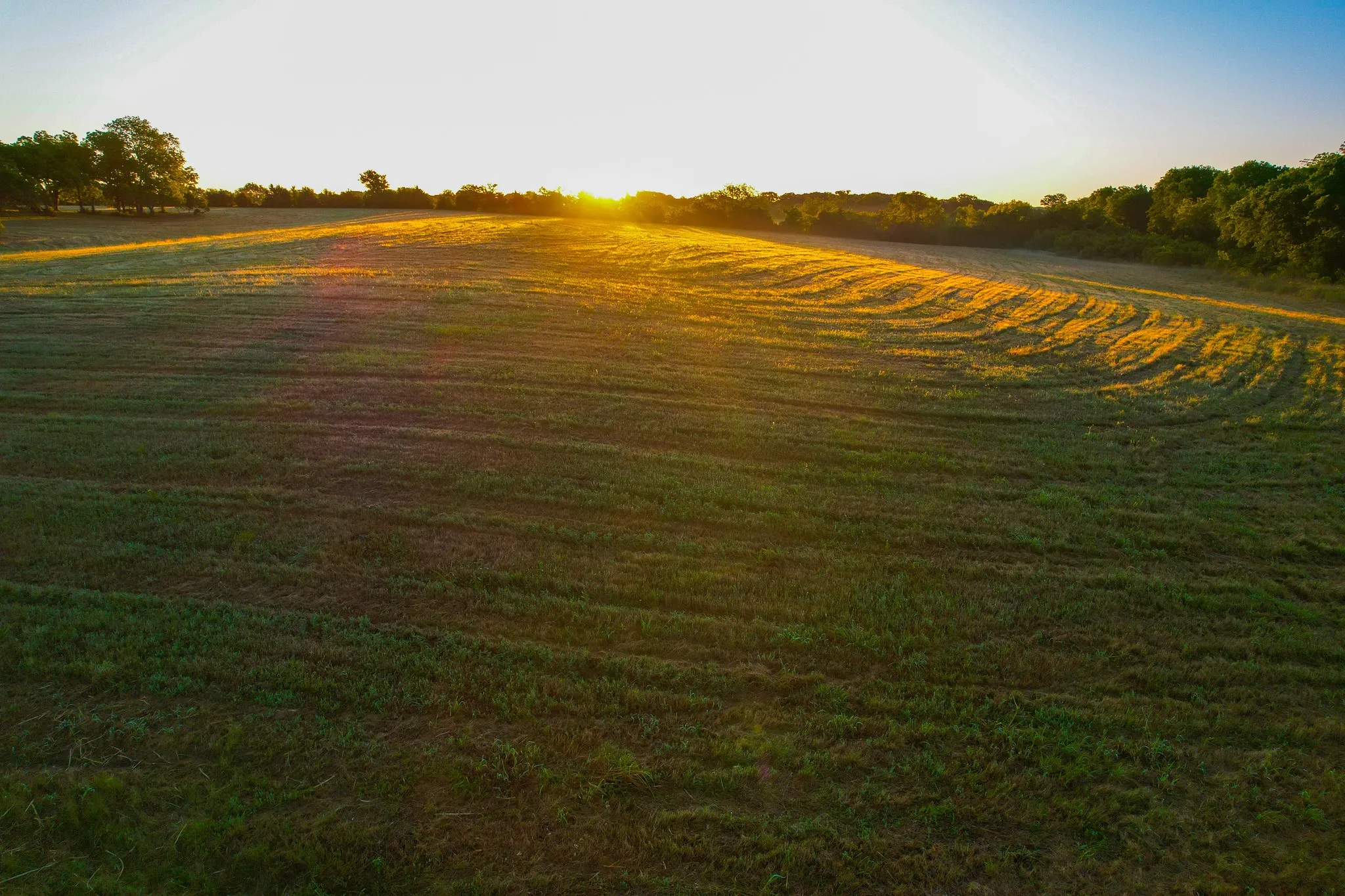 Ranch For Sale in Fannin County , 2000 County Road 2950, Dodd City, Texas 75438, 0, 0, Garage spaces, 0 Sqft, built in 0, mls#21272086, Real Estate Agent in Dodd City, Homes For Sale in Fannin county, Homes For Sale in Dodd City, Realtor in Dodd City Texas, Real Estate Brokerage Independent Realty Texas, Luminita Cordes Realtor
