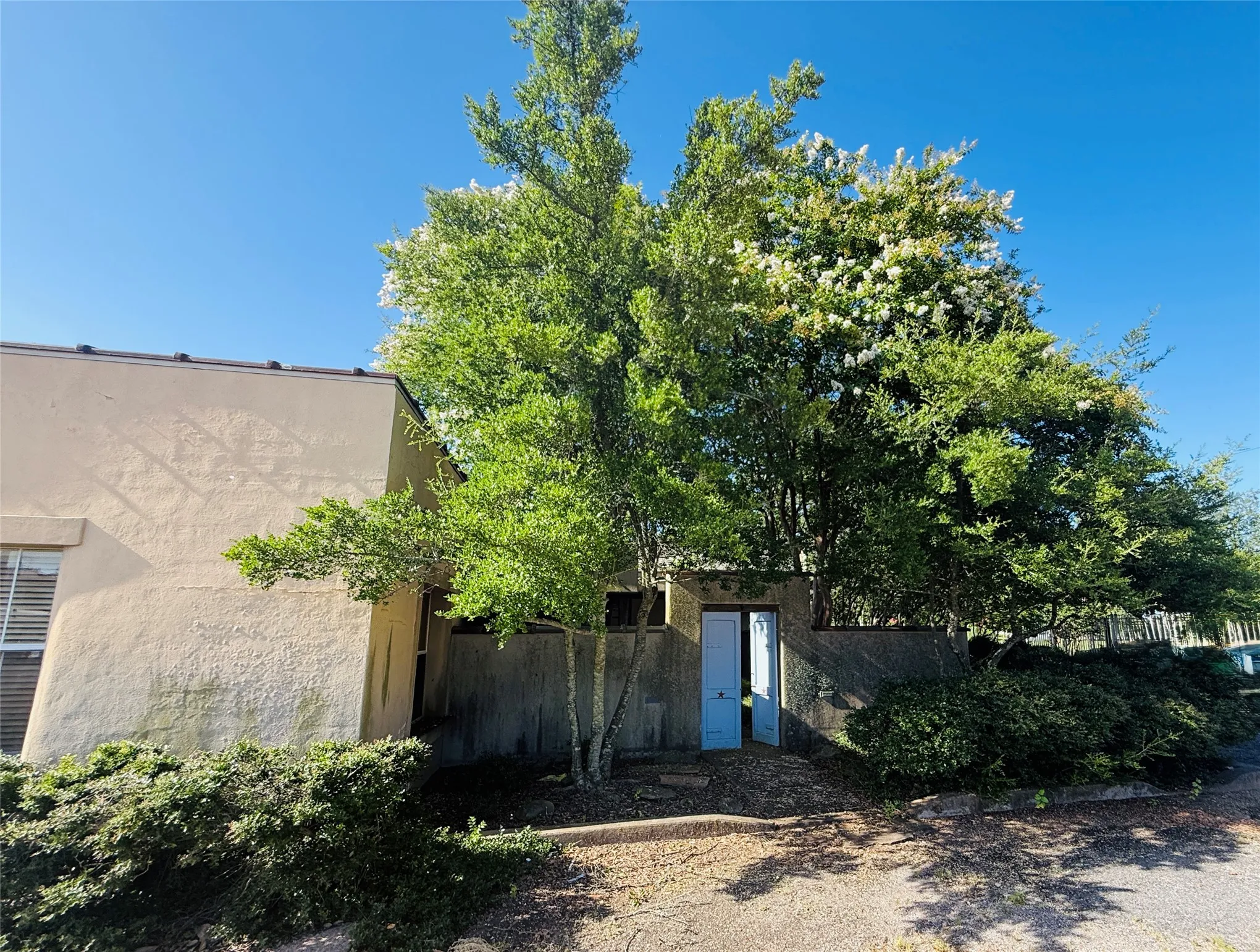 Office For Rent in Lamar County , 265 SE 1st Street, Paris, Texas 75460, 0, 0, Garage spaces, 0 Sqft, built in 1950, Price $3,200, mls#21272154, Real Estate Agent in Paris, Homes For Rent in Lamar county, Homes For Rent in Paris, Realtor in Paris Texas, Real Estate Brokerage Independent Realty Texas, Luminita Cordes Realtor