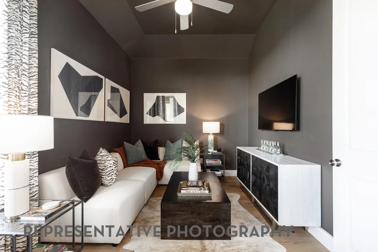 Entertainment Room