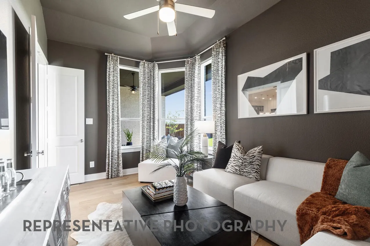 Entertainment Room