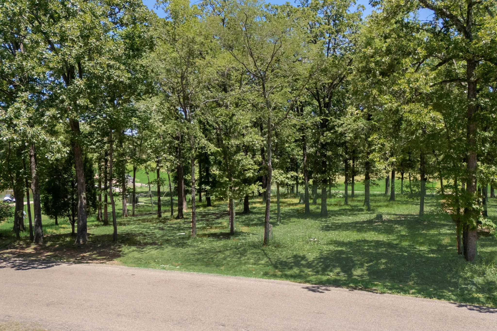 Unimproved Land For Sale in Henderson County , 236 Colonial Ln., Mabank, Texas 75156, 0, 0, Garage spaces, 0 Sqft, built in 0, Price $37,000, mls#21272217, Real Estate Agent in Mabank, Homes For Sale in Henderson county, Homes For Sale in Mabank, Realtor in Mabank Texas, Real Estate Brokerage Independent Realty Texas, Luminita Cordes Realtor