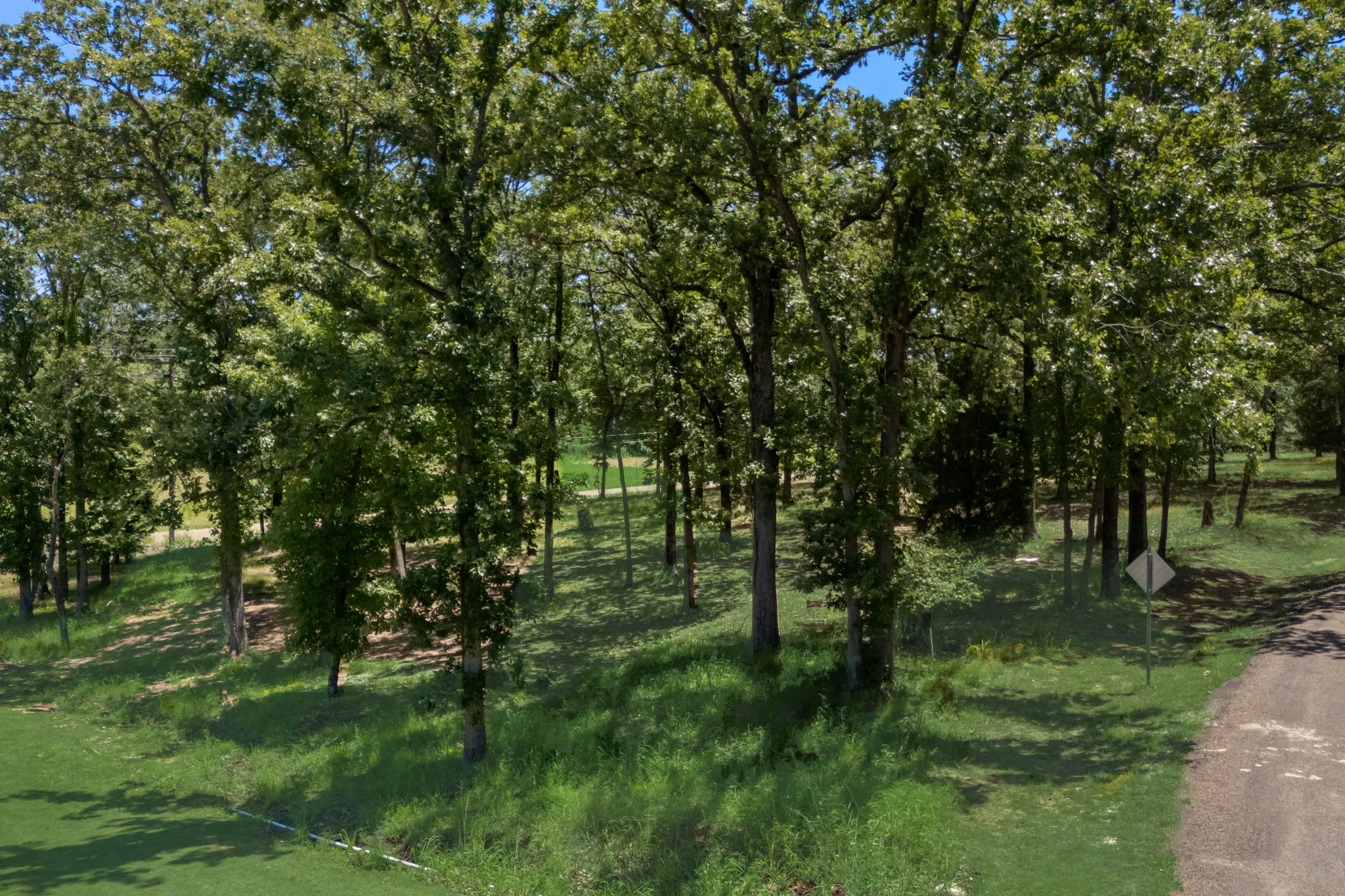 Unimproved Land For Sale in Henderson County , 236 Colonial Ln., Mabank, Texas 75156, 0, 0, Garage spaces, 0 Sqft, built in 0, Price $37,000, mls#21272217, Real Estate Agent in Mabank, Homes For Sale in Henderson county, Homes For Sale in Mabank, Realtor in Mabank Texas, Real Estate Brokerage Independent Realty Texas, Luminita Cordes Realtor