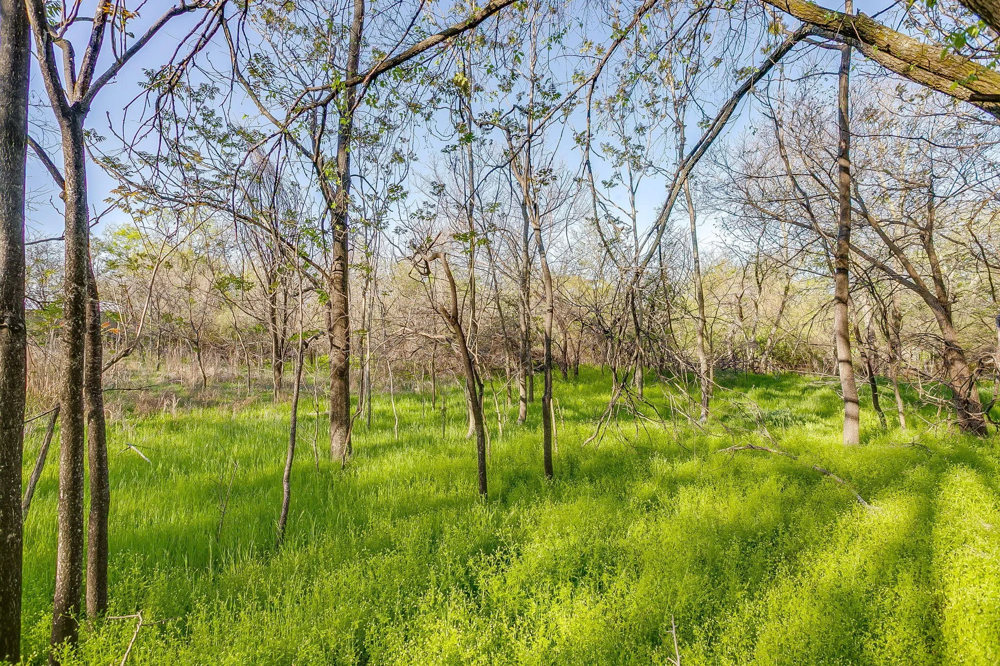 Improved Land For Sale in Parker County , 418 E First Street, Weatherford, Texas 76086, 0, 0, Garage spaces, 0 Sqft, built in 0, Price $299,000, mls#21272191, Real Estate Agent in Weatherford, Homes For Sale in Parker county, Homes For Sale in Weatherford, Realtor in Weatherford Texas, Real Estate Brokerage Independent Realty Texas, Luminita Cordes Realtor