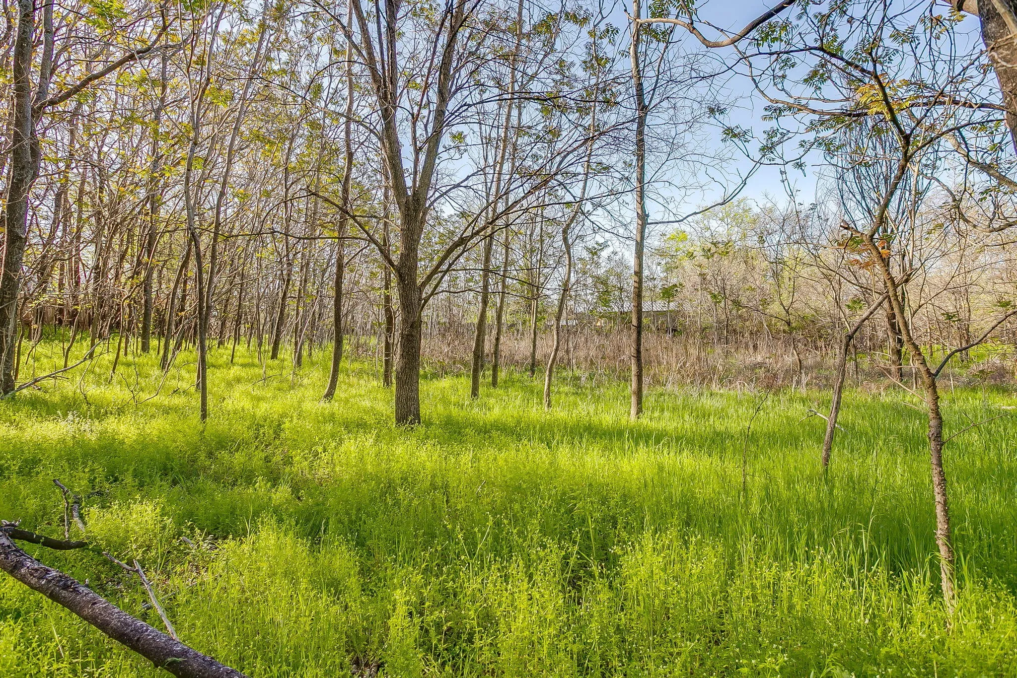 Improved Land For Sale in Parker County , 418 E First Street, Weatherford, Texas 76086, 0, 0, Garage spaces, 0 Sqft, built in 0, Price $299,000, mls#21272191, Real Estate Agent in Weatherford, Homes For Sale in Parker county, Homes For Sale in Weatherford, Realtor in Weatherford Texas, Real Estate Brokerage Independent Realty Texas, Luminita Cordes Realtor