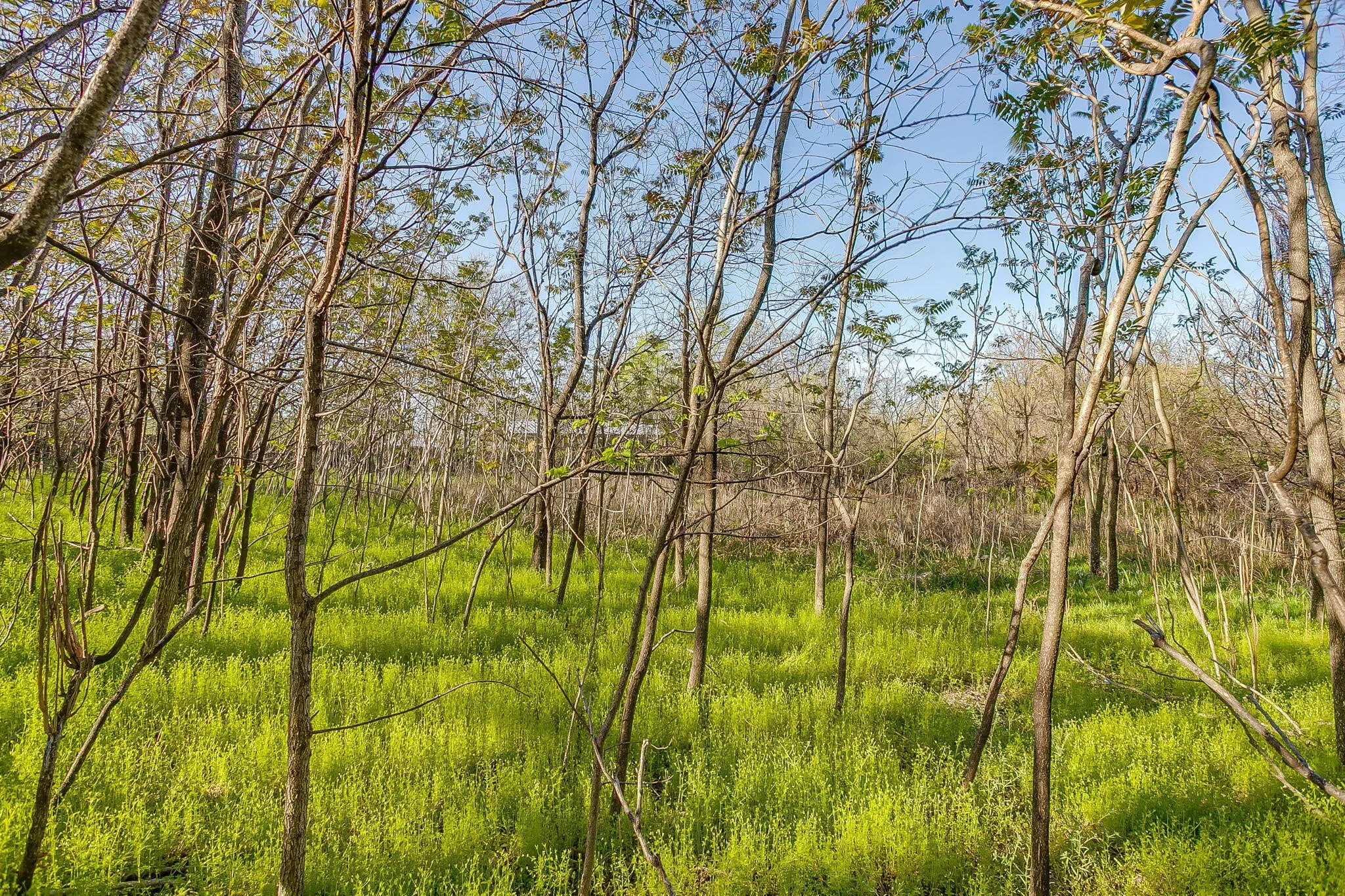 Improved Land For Sale in Parker County , 418 E First Street, Weatherford, Texas 76086, 0, 0, Garage spaces, 0 Sqft, built in 0, Price $299,000, mls#21272191, Real Estate Agent in Weatherford, Homes For Sale in Parker county, Homes For Sale in Weatherford, Realtor in Weatherford Texas, Real Estate Brokerage Independent Realty Texas, Luminita Cordes Realtor