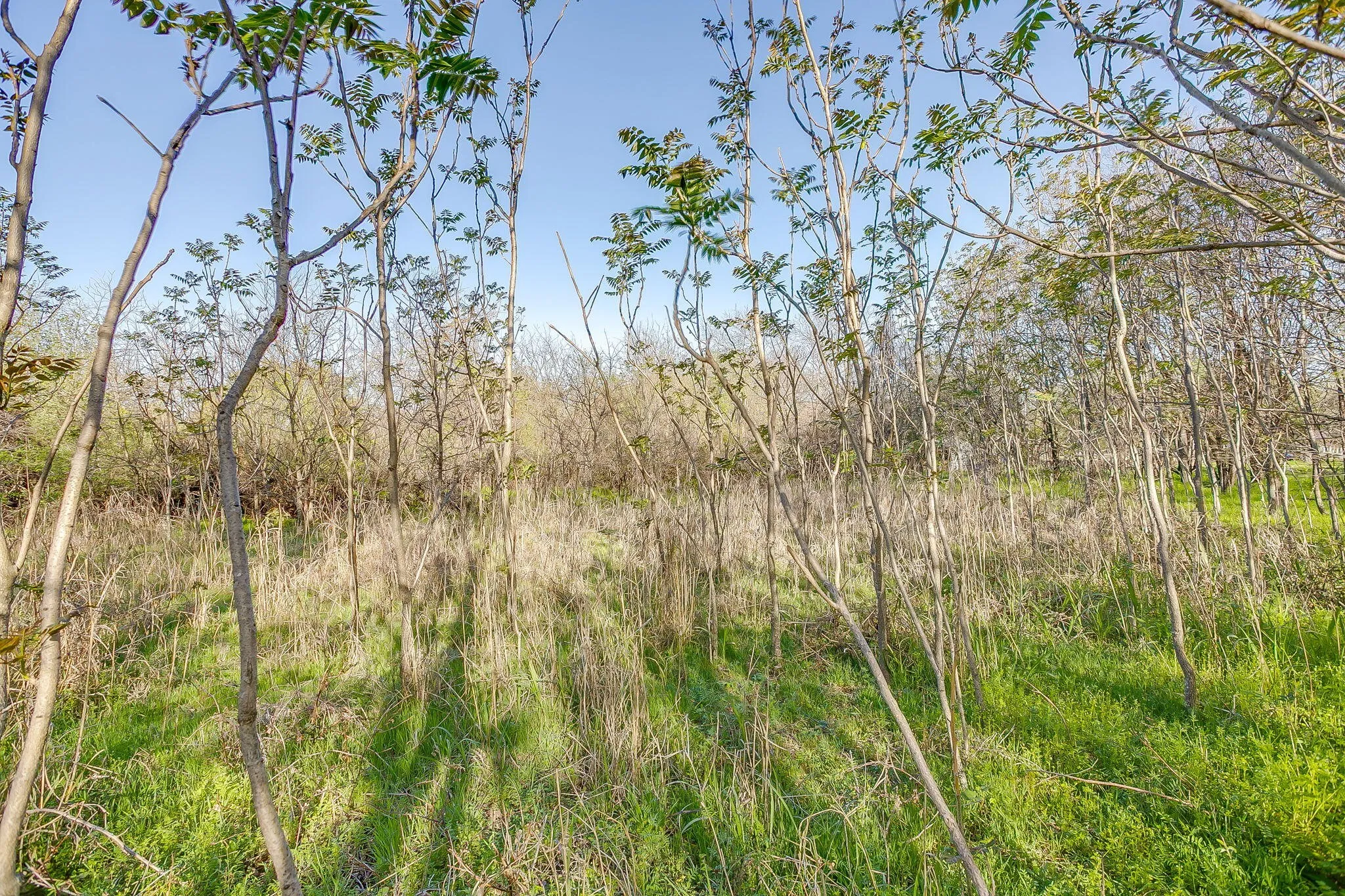 Improved Land For Sale in Parker County , 418 E First Street, Weatherford, Texas 76086, 0, 0, Garage spaces, 0 Sqft, built in 0, Price $299,000, mls#21272191, Real Estate Agent in Weatherford, Homes For Sale in Parker county, Homes For Sale in Weatherford, Realtor in Weatherford Texas, Real Estate Brokerage Independent Realty Texas, Luminita Cordes Realtor