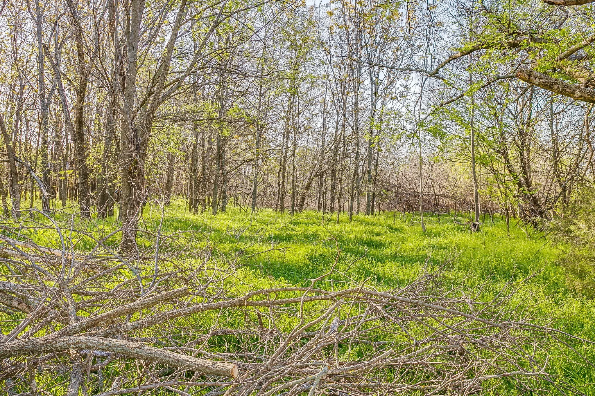Improved Land For Sale in Parker County , 418 E First Street, Weatherford, Texas 76086, 0, 0, Garage spaces, 0 Sqft, built in 0, Price $299,000, mls#21272191, Real Estate Agent in Weatherford, Homes For Sale in Parker county, Homes For Sale in Weatherford, Realtor in Weatherford Texas, Real Estate Brokerage Independent Realty Texas, Luminita Cordes Realtor