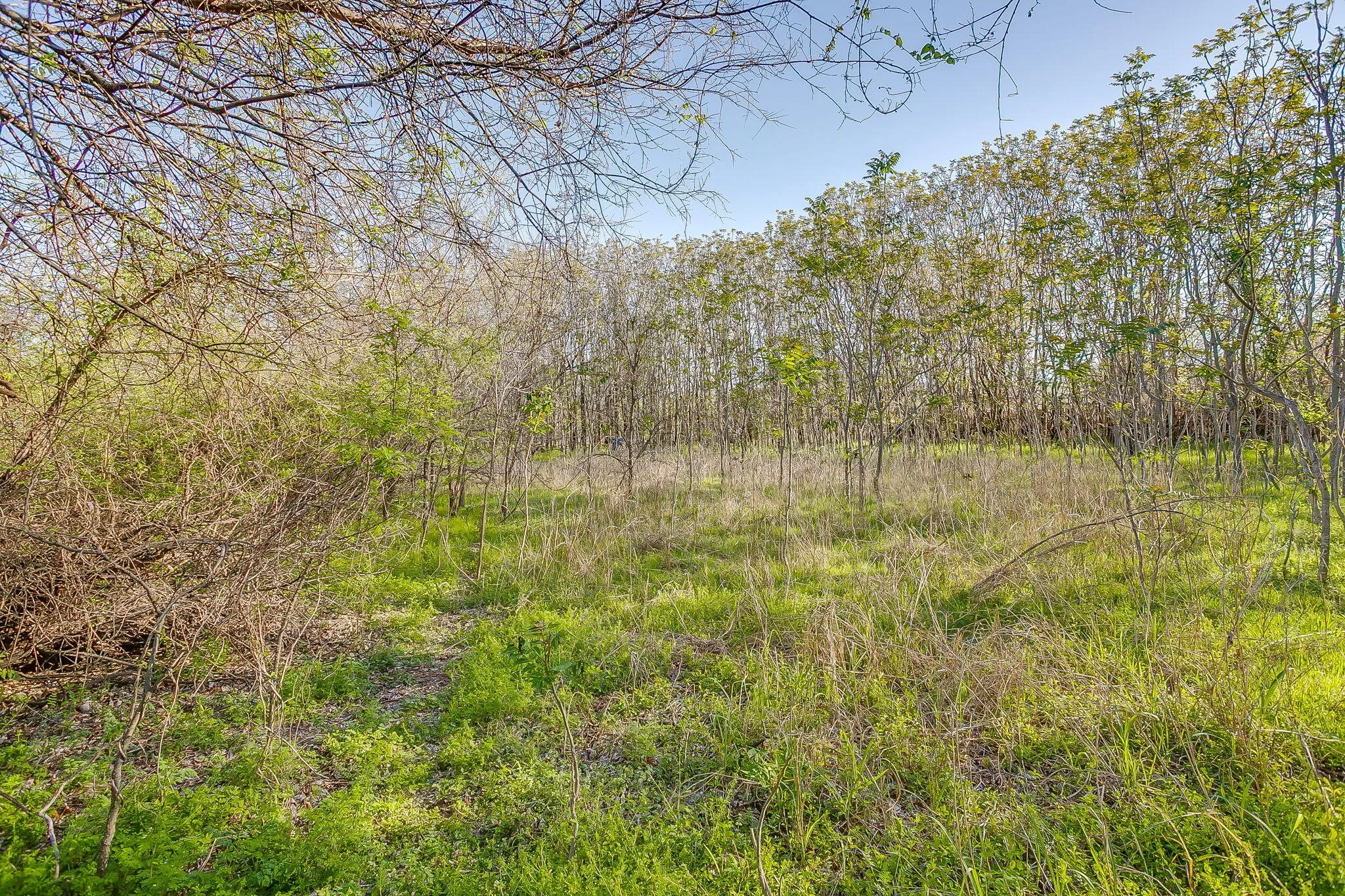 Improved Land For Sale in Parker County , 418 E First Street, Weatherford, Texas 76086, 0, 0, Garage spaces, 0 Sqft, built in 0, Price $299,000, mls#21272191, Real Estate Agent in Weatherford, Homes For Sale in Parker county, Homes For Sale in Weatherford, Realtor in Weatherford Texas, Real Estate Brokerage Independent Realty Texas, Luminita Cordes Realtor