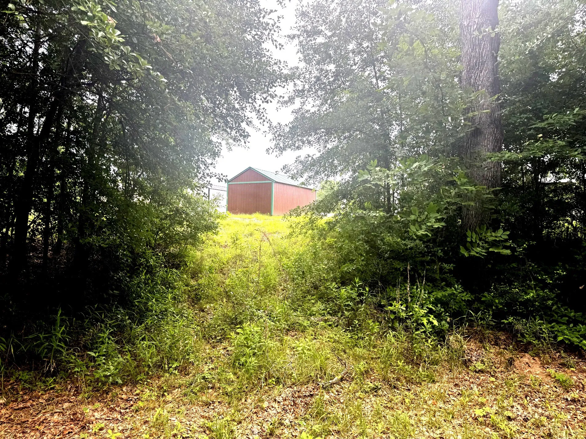 Unimproved Land For Sale in Anderson County , 6175 Loop 256, Palestine, Texas 75801, 0, 0, Garage spaces, 0 Sqft, built in 0, Price $595,000, mls#21272226, Real Estate Agent in Palestine, Homes For Sale in Anderson county, Homes For Sale in Palestine, Realtor in Palestine Texas, Real Estate Brokerage Independent Realty Texas, Luminita Cordes Realtor