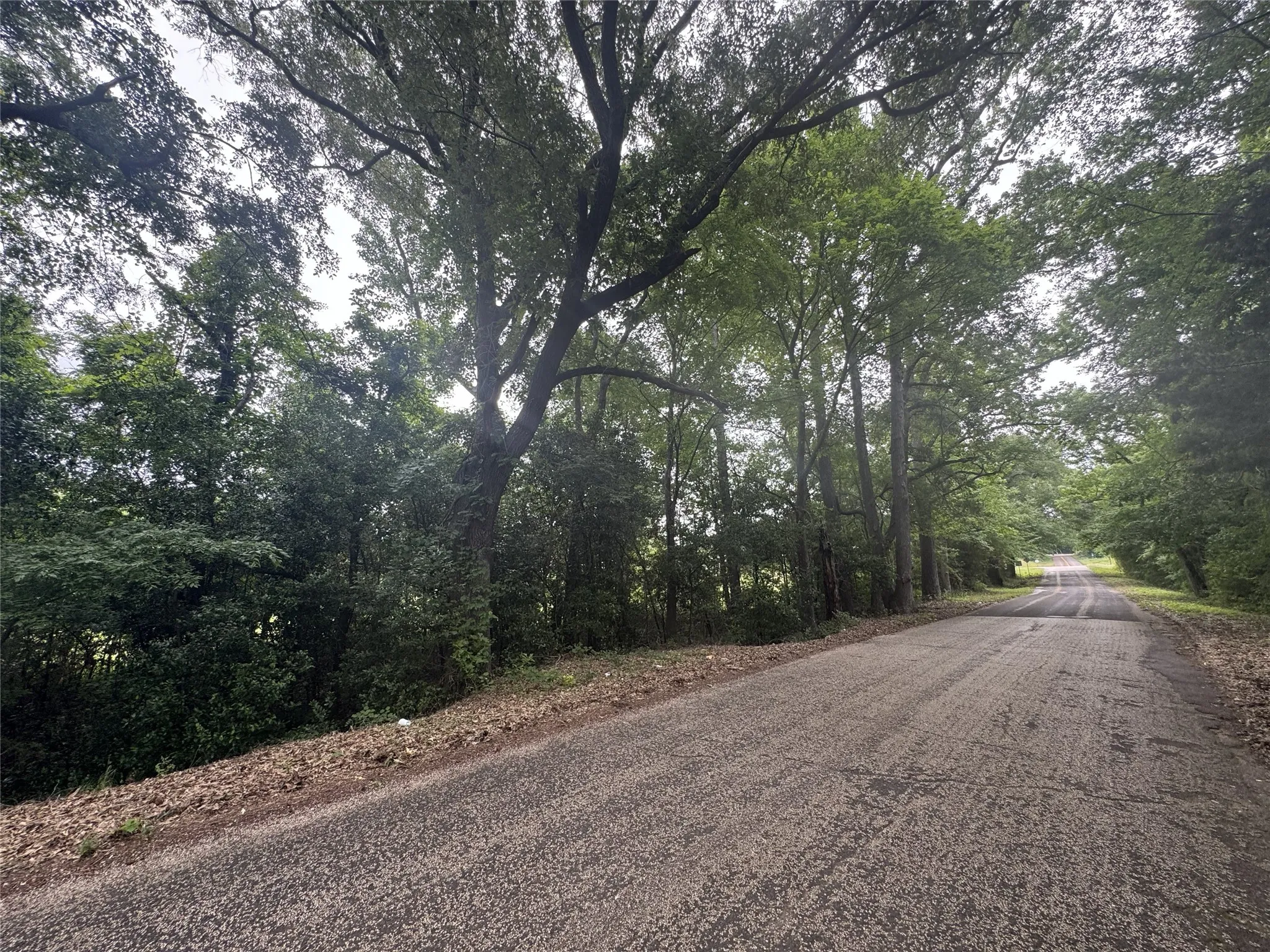 Unimproved Land For Sale in Anderson County , 6175 Loop 256, Palestine, Texas 75801, 0, 0, Garage spaces, 0 Sqft, built in 0, Price $595,000, mls#21272226, Real Estate Agent in Palestine, Homes For Sale in Anderson county, Homes For Sale in Palestine, Realtor in Palestine Texas, Real Estate Brokerage Independent Realty Texas, Luminita Cordes Realtor