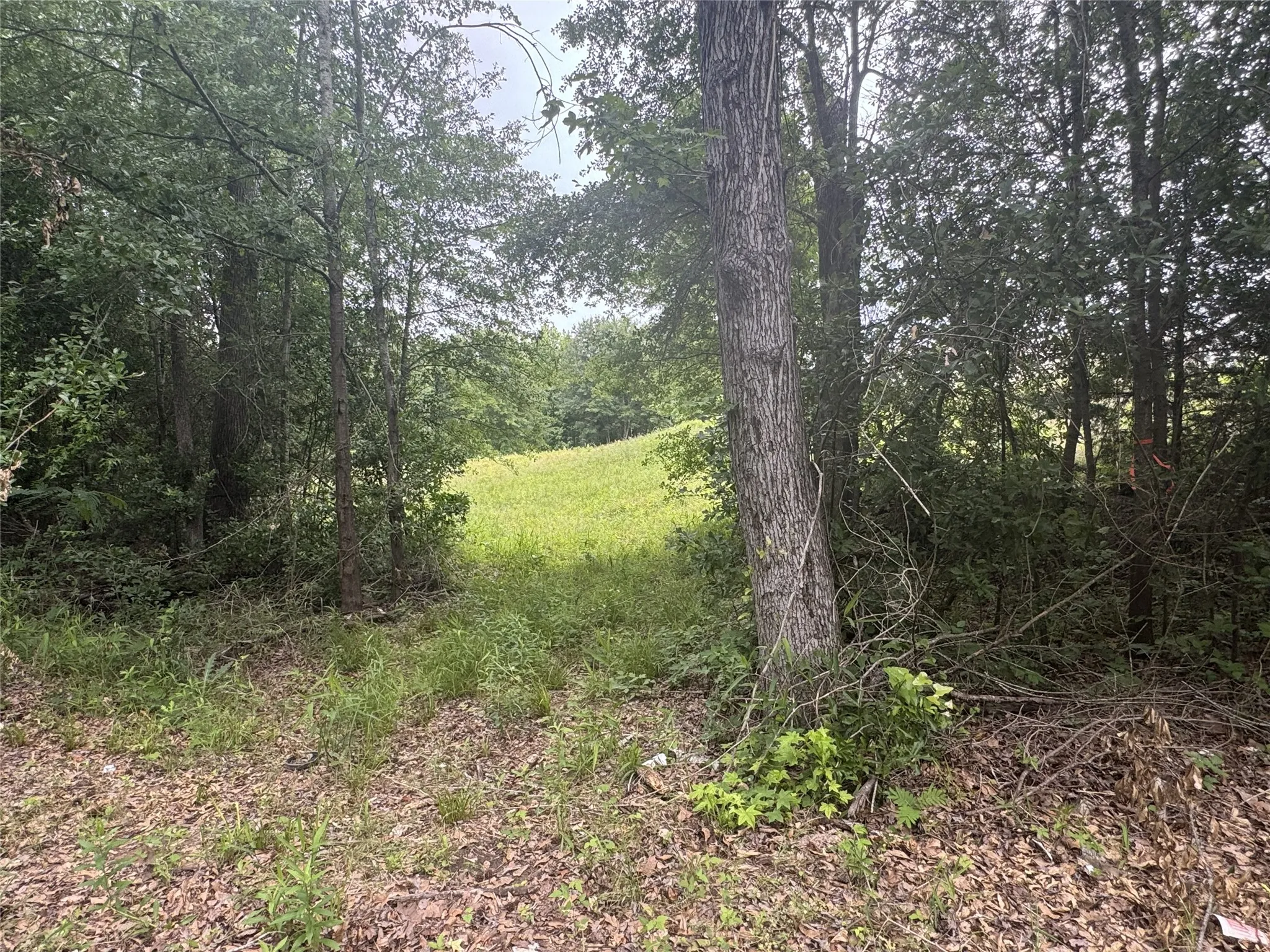 Unimproved Land For Sale in Anderson County , 6175 Loop 256, Palestine, Texas 75801, 0, 0, Garage spaces, 0 Sqft, built in 0, Price $595,000, mls#21272226, Real Estate Agent in Palestine, Homes For Sale in Anderson county, Homes For Sale in Palestine, Realtor in Palestine Texas, Real Estate Brokerage Independent Realty Texas, Luminita Cordes Realtor