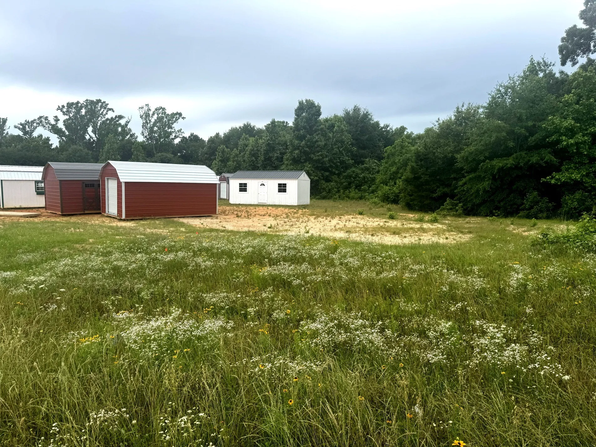 Unimproved Land For Sale in Anderson County , 6175 Loop 256, Palestine, Texas 75801, 0, 0, Garage spaces, 0 Sqft, built in 0, Price $595,000, mls#21272226, Real Estate Agent in Palestine, Homes For Sale in Anderson county, Homes For Sale in Palestine, Realtor in Palestine Texas, Real Estate Brokerage Independent Realty Texas, Luminita Cordes Realtor