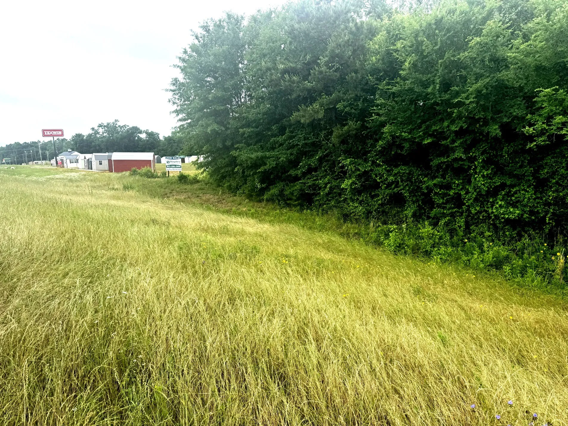Unimproved Land For Sale in Anderson County , 6175 Loop 256, Palestine, Texas 75801, 0, 0, Garage spaces, 0 Sqft, built in 0, Price $595,000, mls#21272226, Real Estate Agent in Palestine, Homes For Sale in Anderson county, Homes For Sale in Palestine, Realtor in Palestine Texas, Real Estate Brokerage Independent Realty Texas, Luminita Cordes Realtor