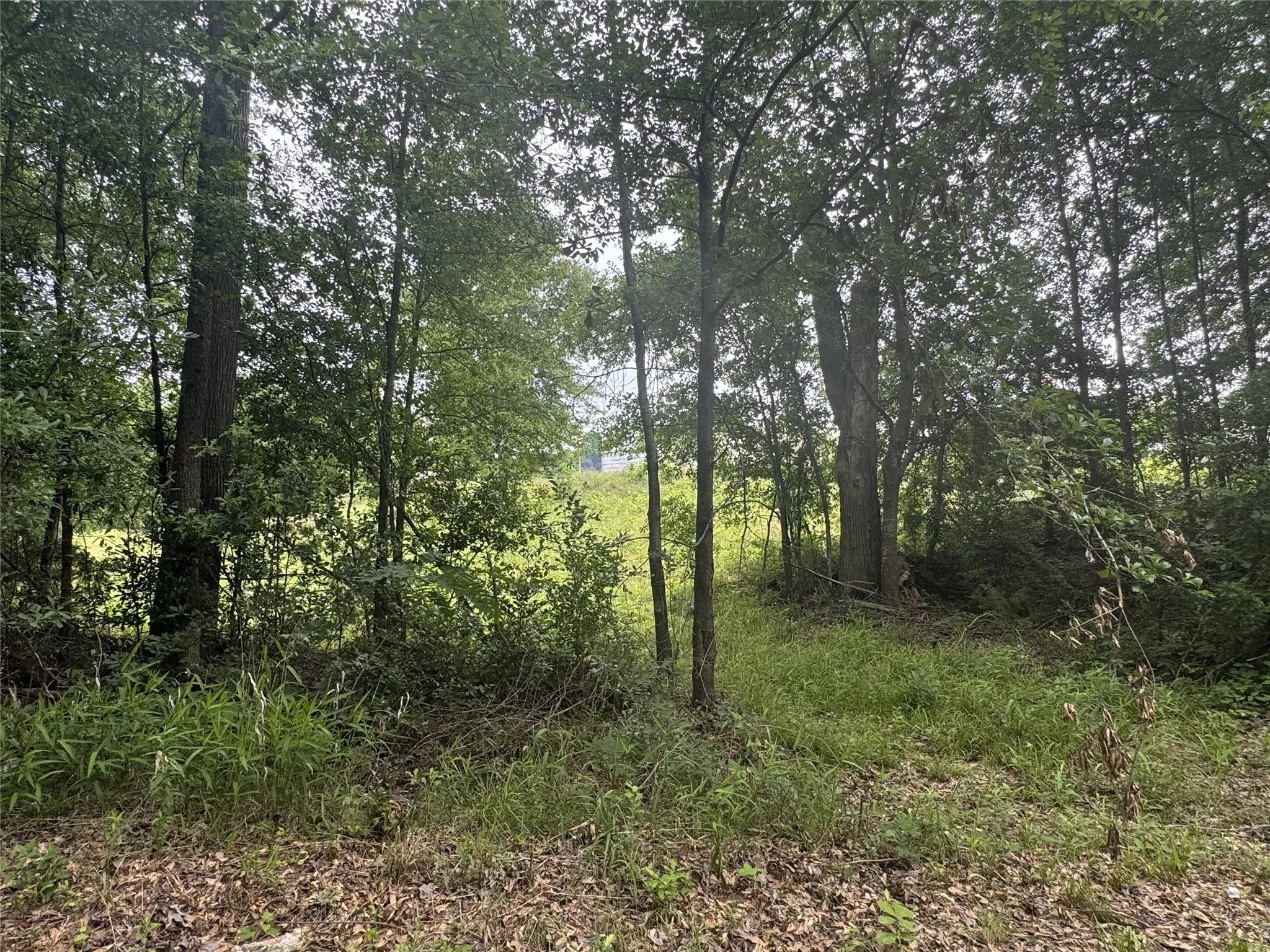 Unimproved Land For Sale in Anderson County , 6175 Loop 256, Palestine, Texas 75801, 0, 0, Garage spaces, 0 Sqft, built in 0, Price $595,000, mls#21272226, Real Estate Agent in Palestine, Homes For Sale in Anderson county, Homes For Sale in Palestine, Realtor in Palestine Texas, Real Estate Brokerage Independent Realty Texas, Luminita Cordes Realtor