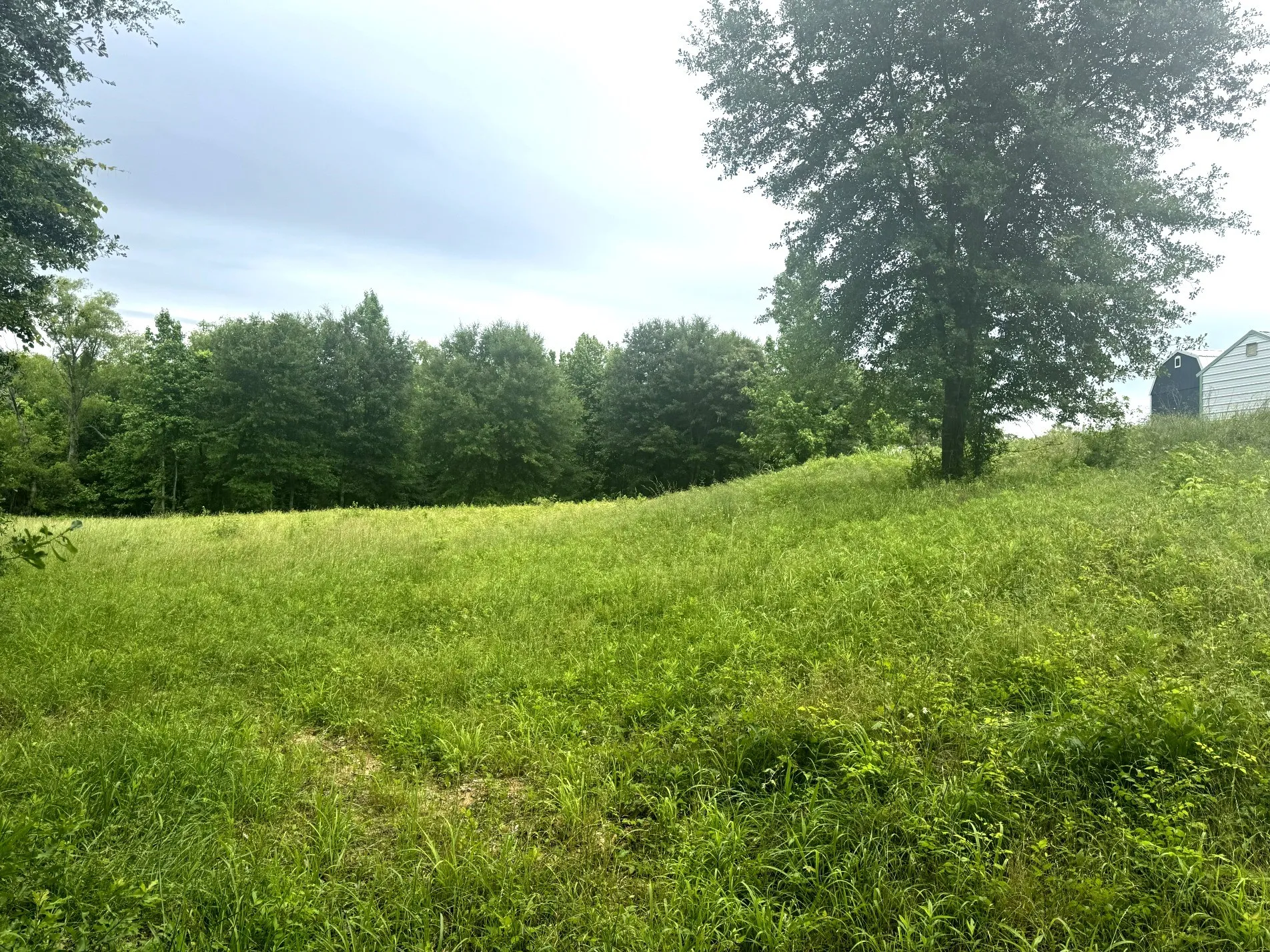 Unimproved Land For Sale in Anderson County , 6175 Loop 256, Palestine, Texas 75801, 0, 0, Garage spaces, 0 Sqft, built in 0, Price $595,000, mls#21272226, Real Estate Agent in Palestine, Homes For Sale in Anderson county, Homes For Sale in Palestine, Realtor in Palestine Texas, Real Estate Brokerage Independent Realty Texas, Luminita Cordes Realtor