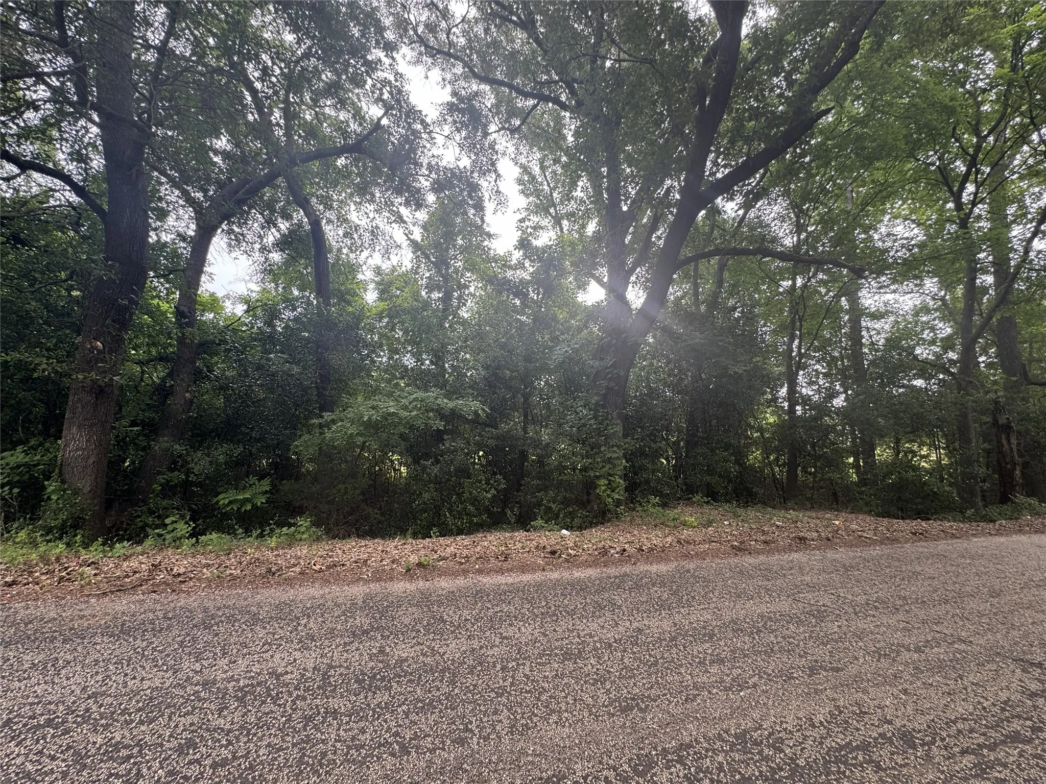 Unimproved Land For Sale in Anderson County , 6175 Loop 256, Palestine, Texas 75801, 0, 0, Garage spaces, 0 Sqft, built in 0, Price $595,000, mls#21272226, Real Estate Agent in Palestine, Homes For Sale in Anderson county, Homes For Sale in Palestine, Realtor in Palestine Texas, Real Estate Brokerage Independent Realty Texas, Luminita Cordes Realtor